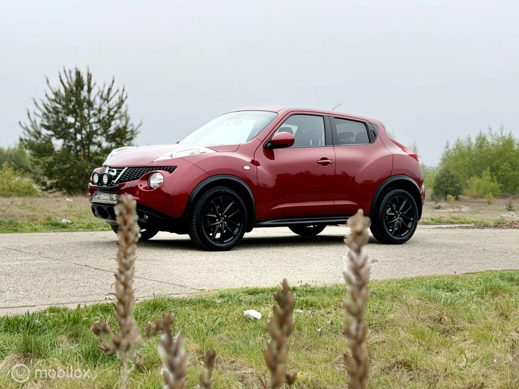 Hoofdafbeelding Nissan Juke