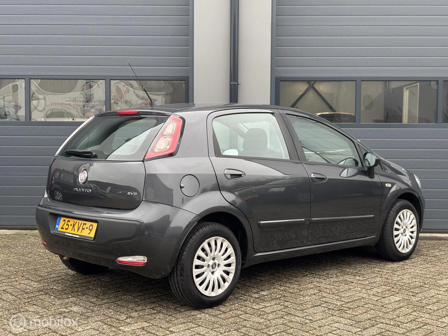 Hoofdafbeelding Fiat Punto