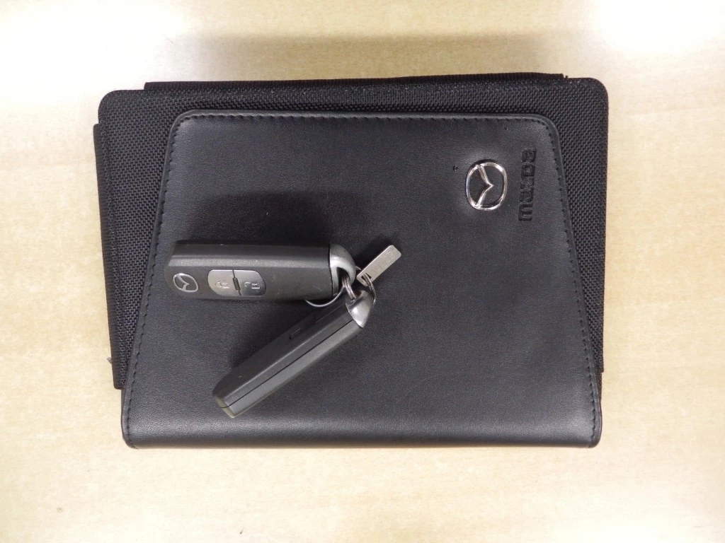 Hoofdafbeelding Mazda 2