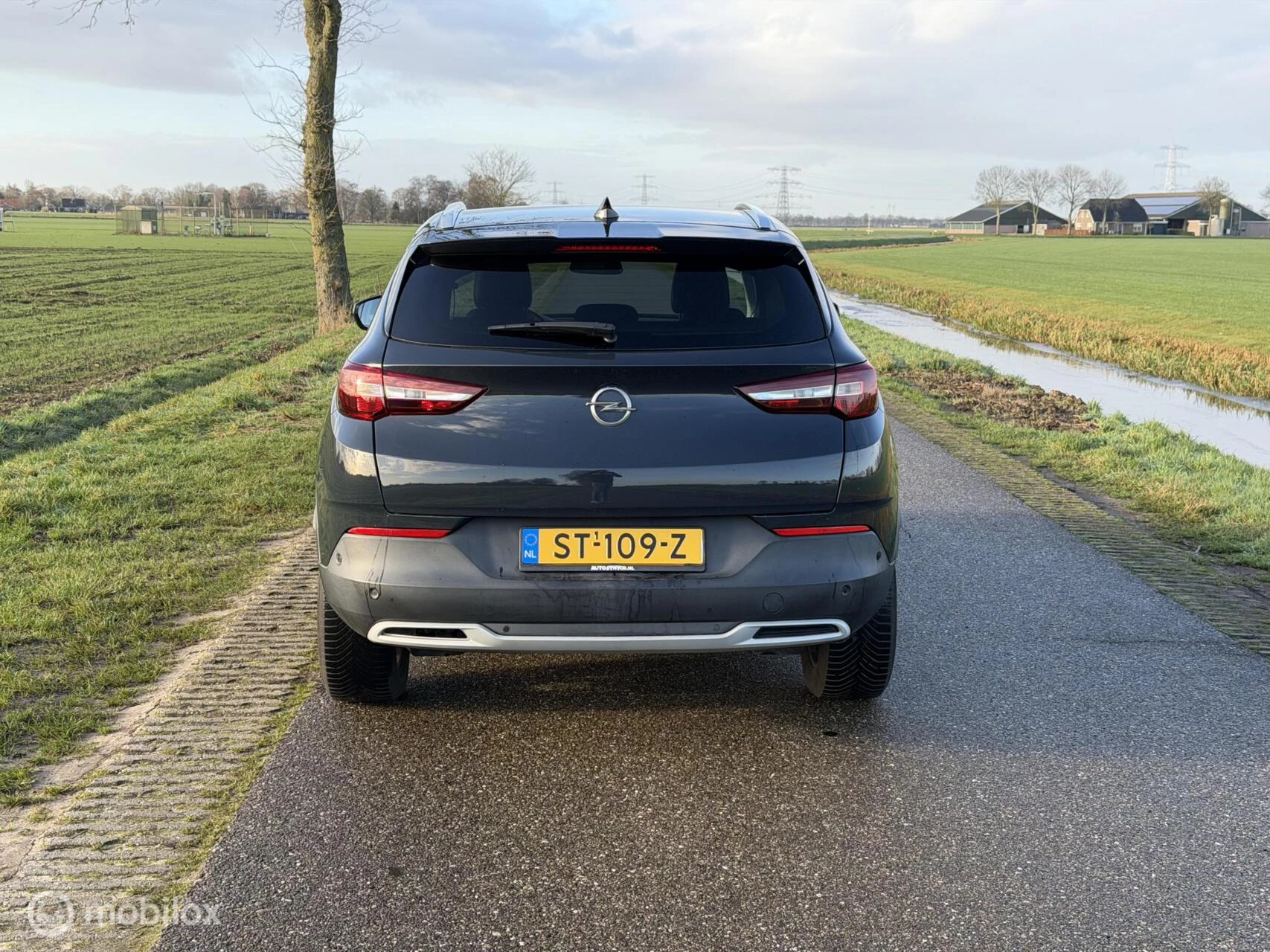 Hoofdafbeelding Opel Grandland X