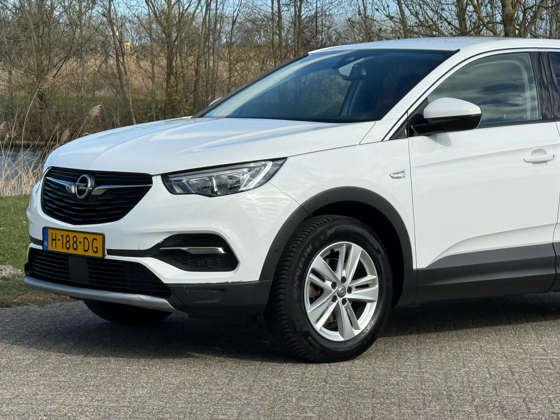 Hoofdafbeelding Opel Grandland X
