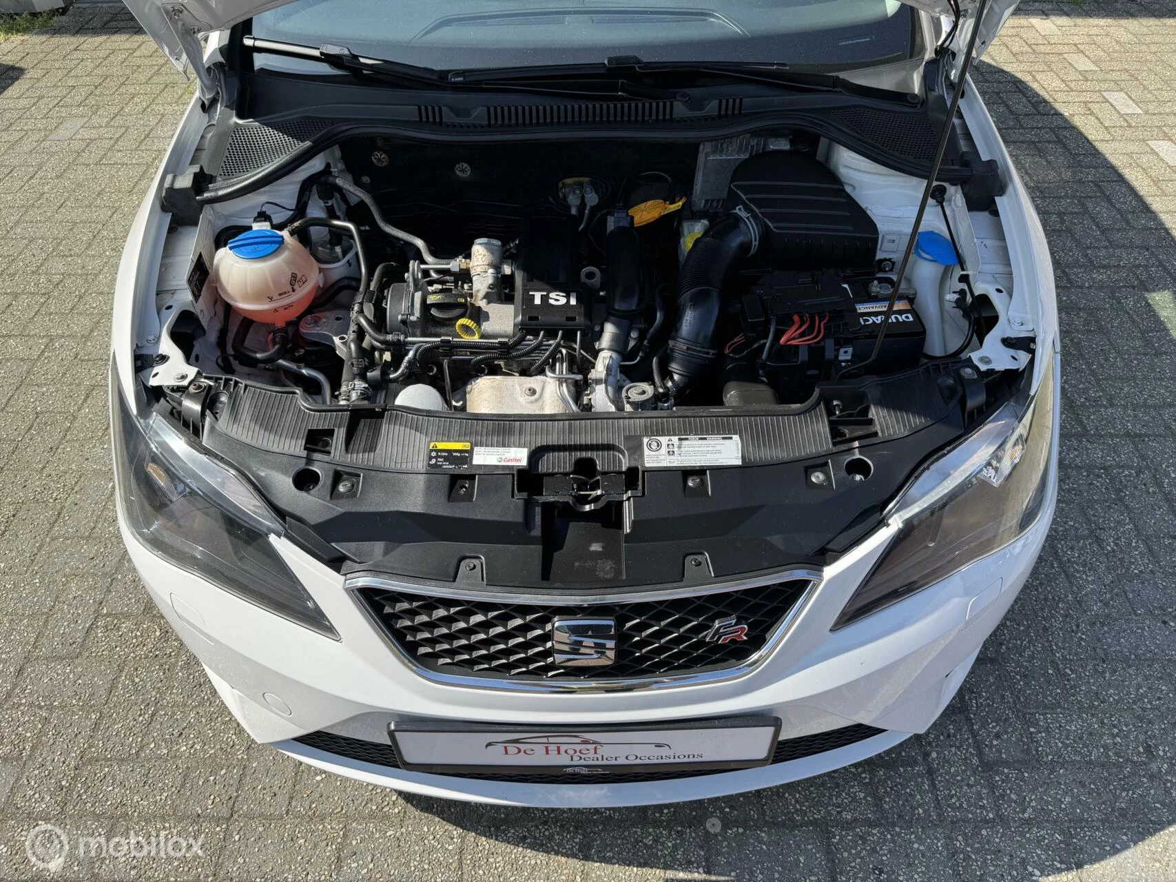 Hoofdafbeelding SEAT Ibiza