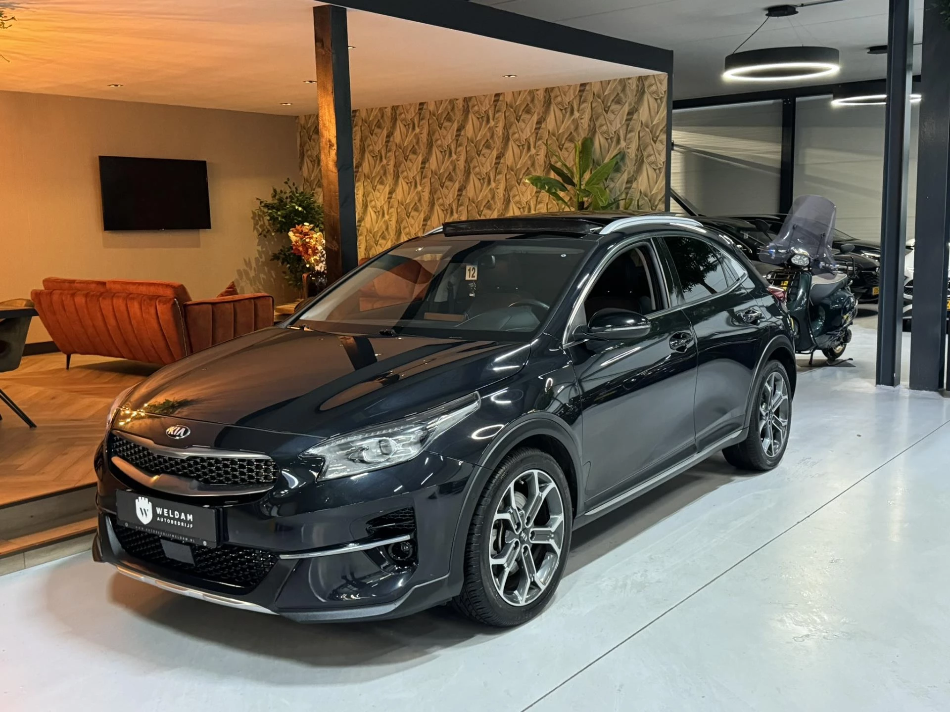 Hoofdafbeelding Kia XCeed