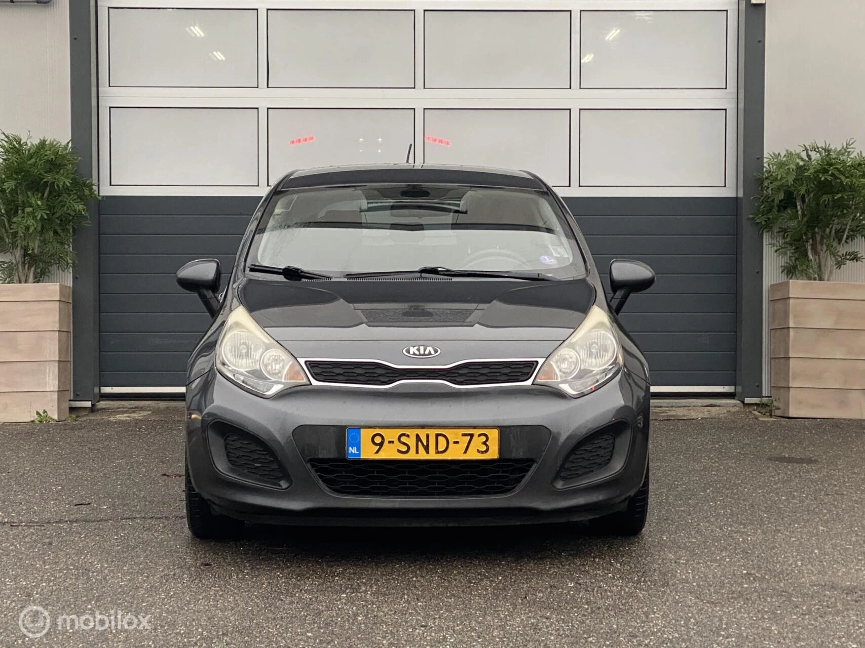 Hoofdafbeelding Kia Rio