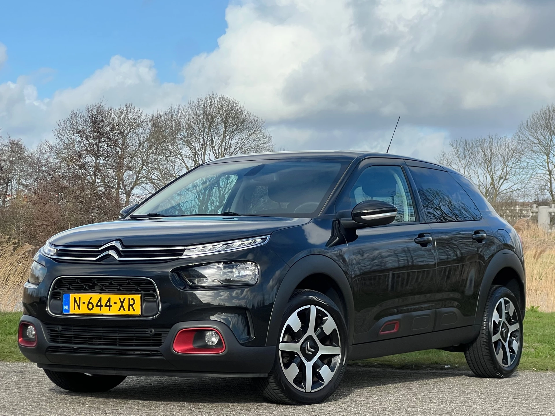 Hoofdafbeelding Citroën C4 Cactus