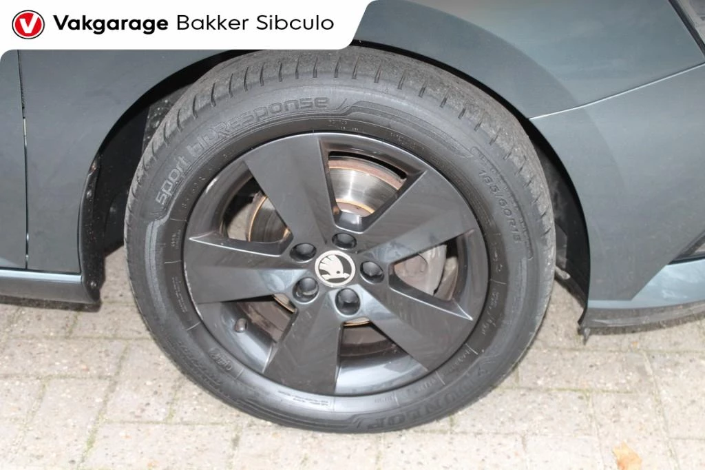 Hoofdafbeelding Škoda Fabia