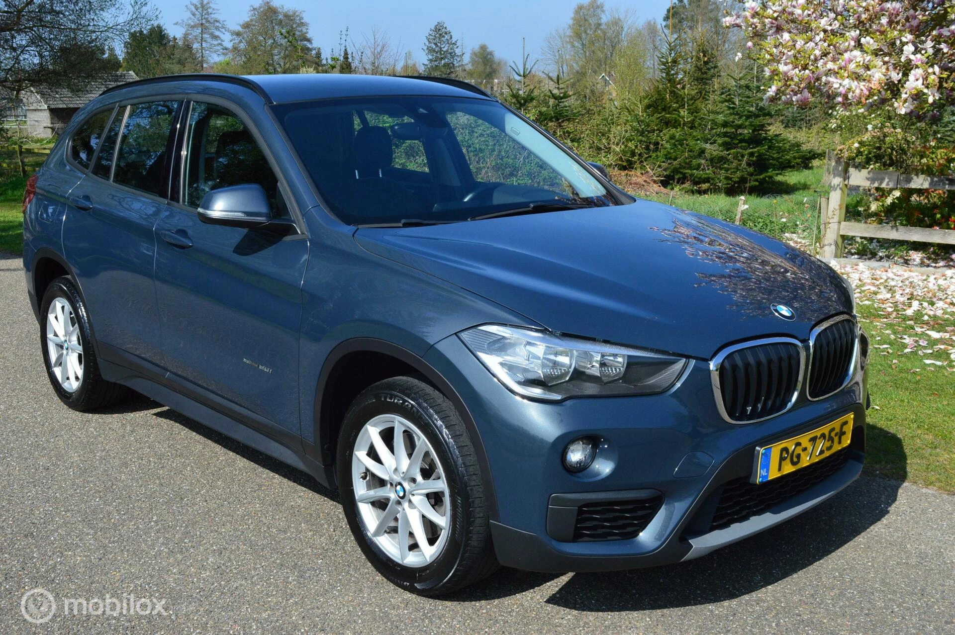Hoofdafbeelding BMW X1
