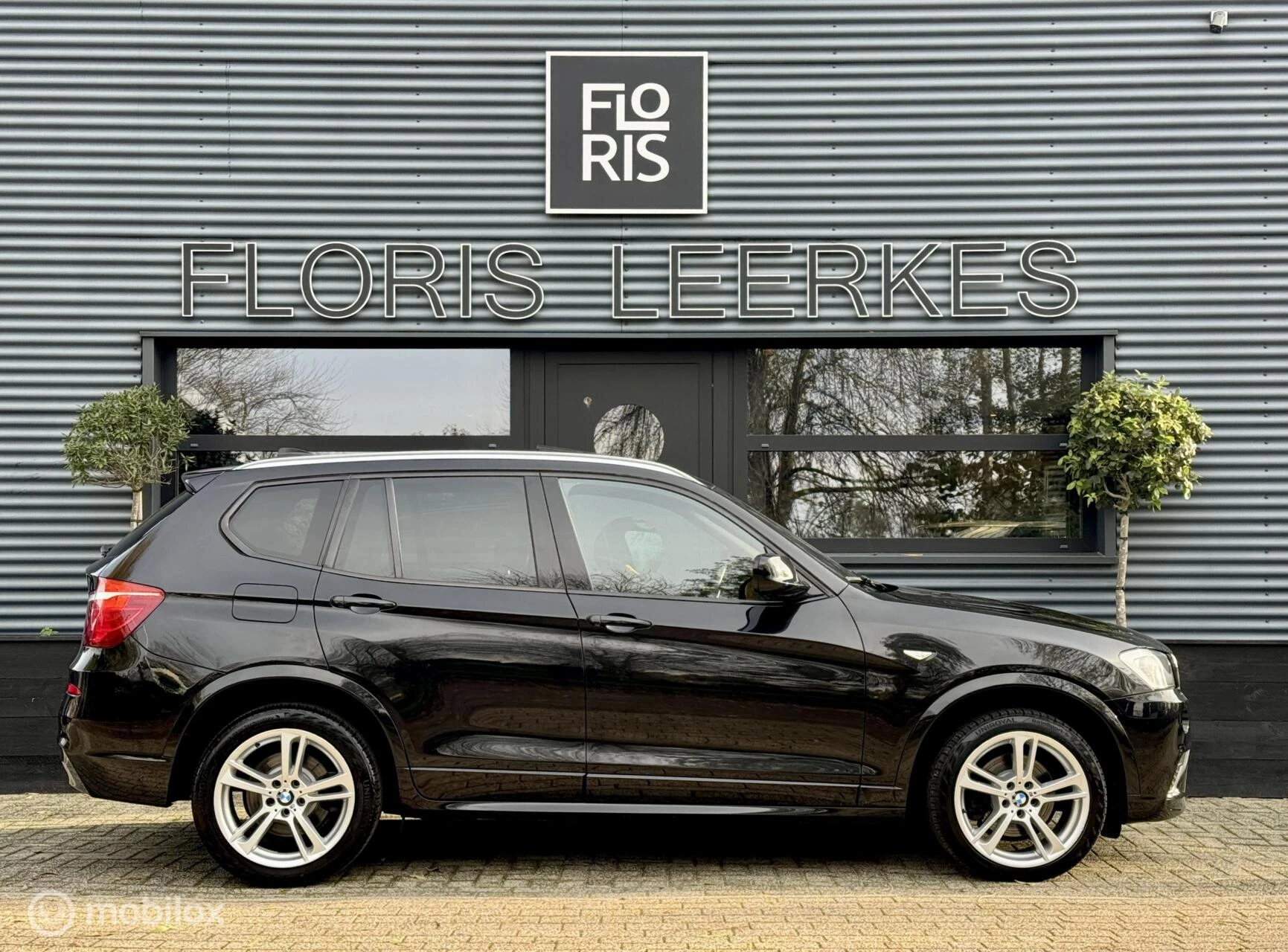 Hoofdafbeelding BMW X3