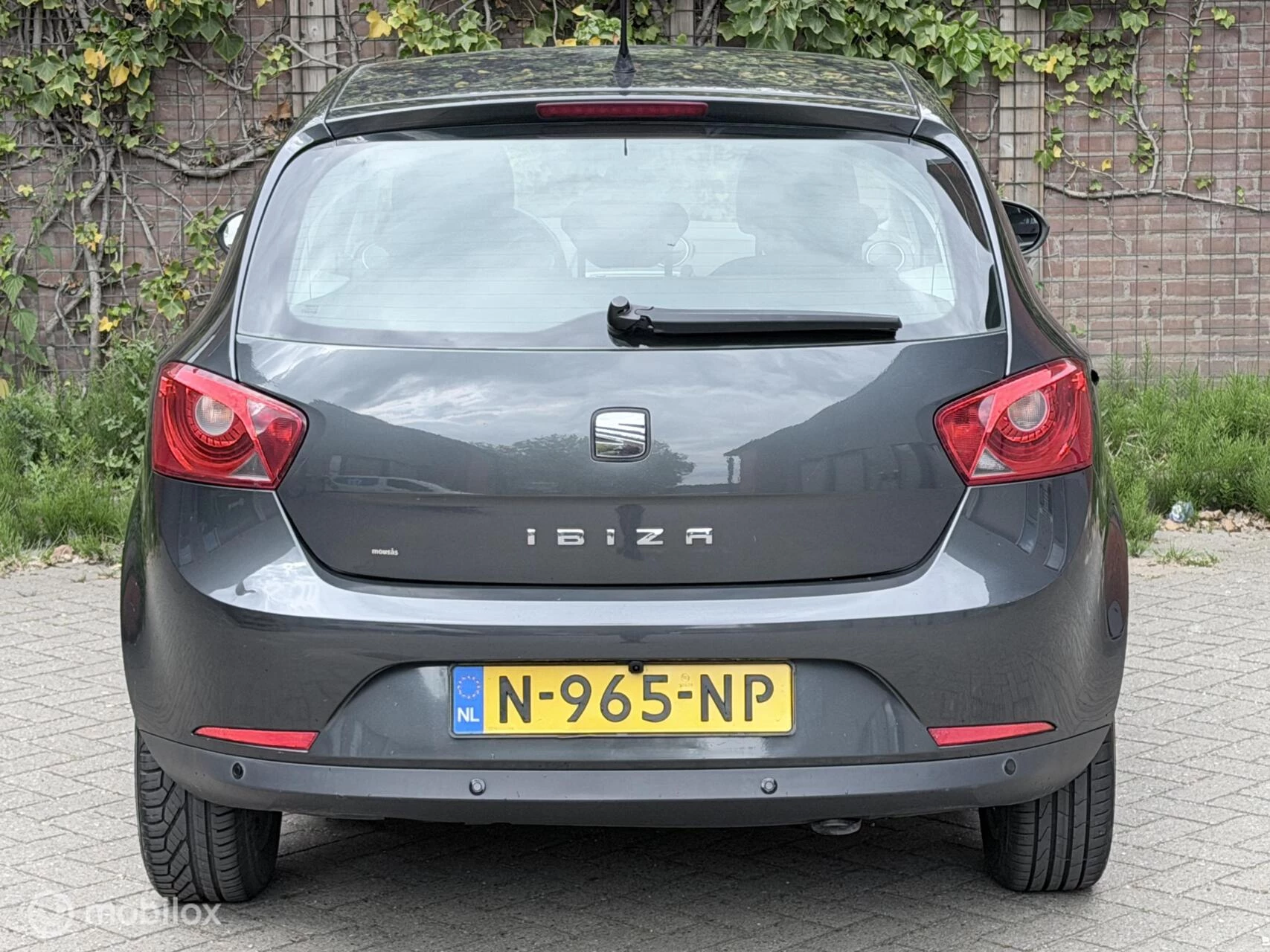 Hoofdafbeelding SEAT Ibiza