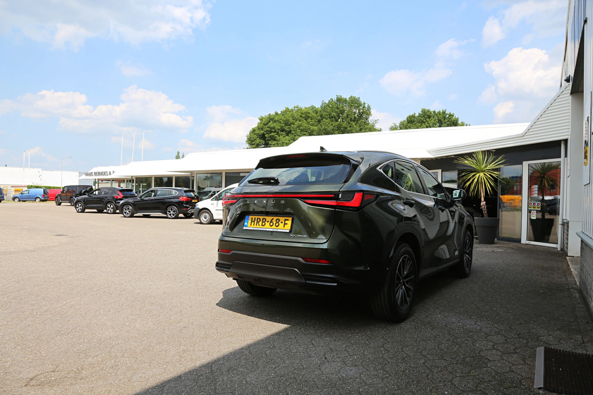 Hoofdafbeelding Lexus NX