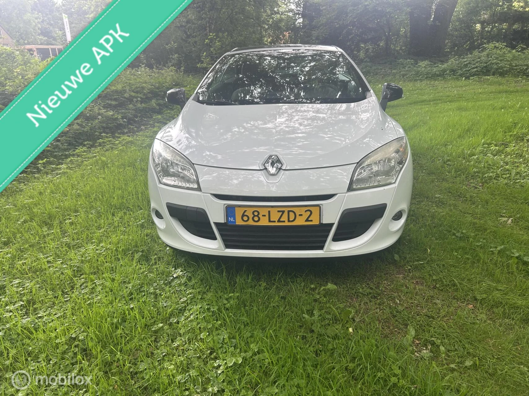 Hoofdafbeelding Renault Mégane