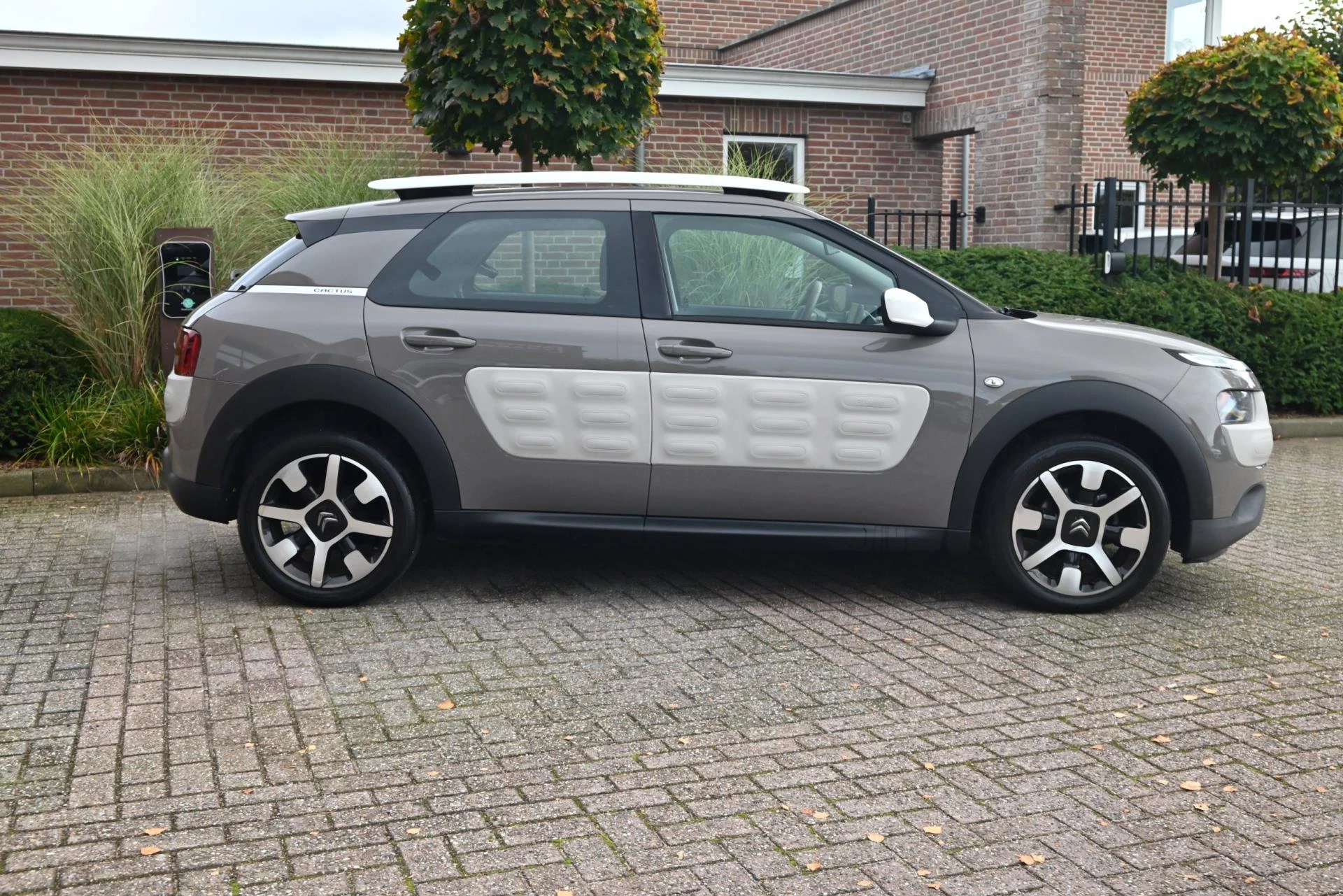 Hoofdafbeelding Citroën C4 Cactus