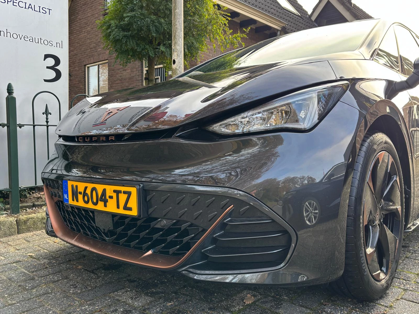 Hoofdafbeelding CUPRA Born