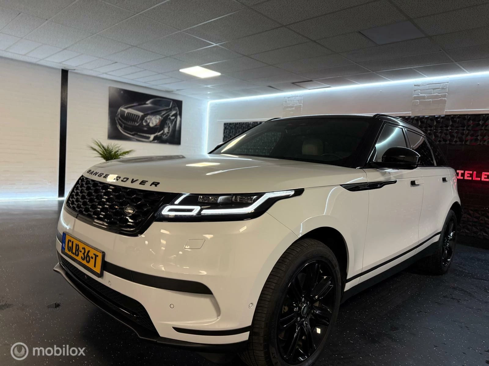 Hoofdafbeelding Land Rover Range Rover Velar