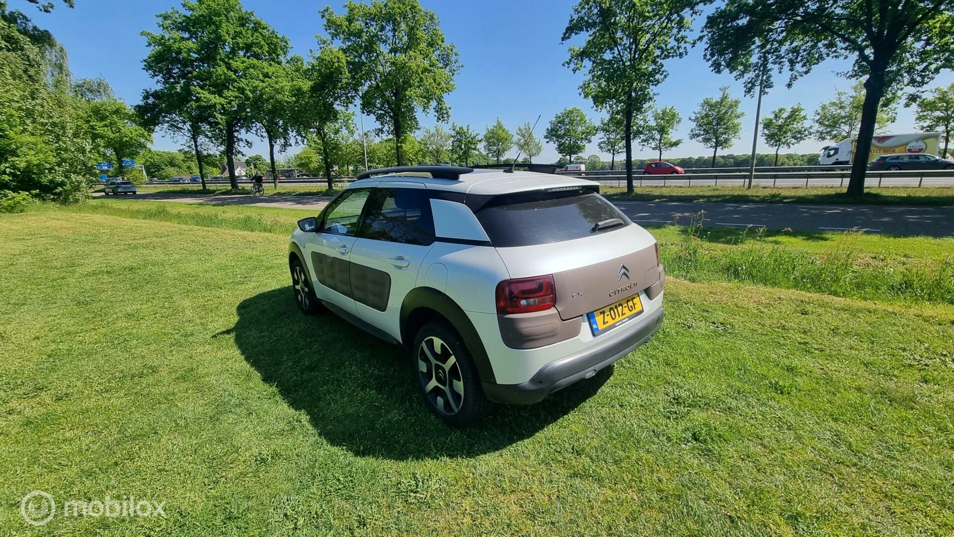 Hoofdafbeelding Citroën C4 Cactus