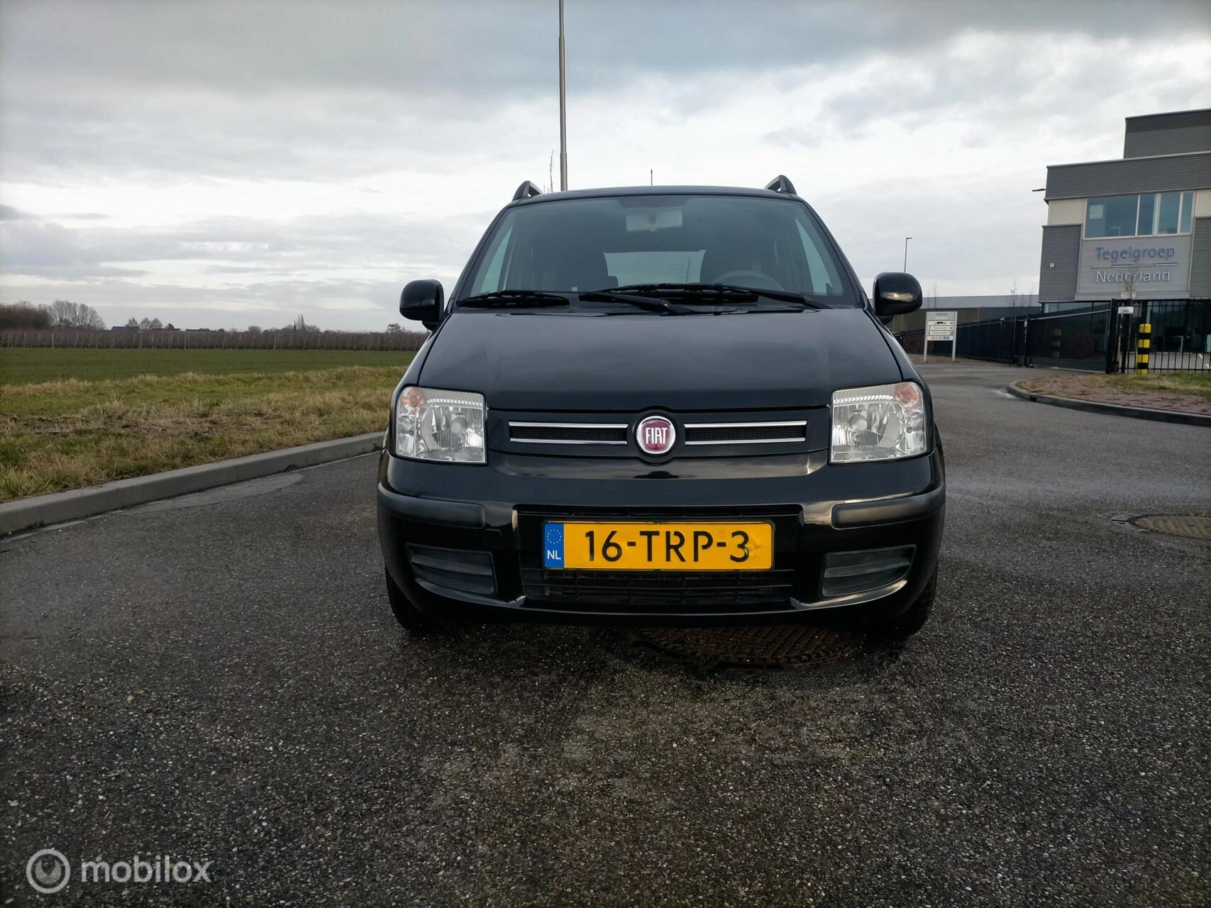 Hoofdafbeelding Fiat Panda