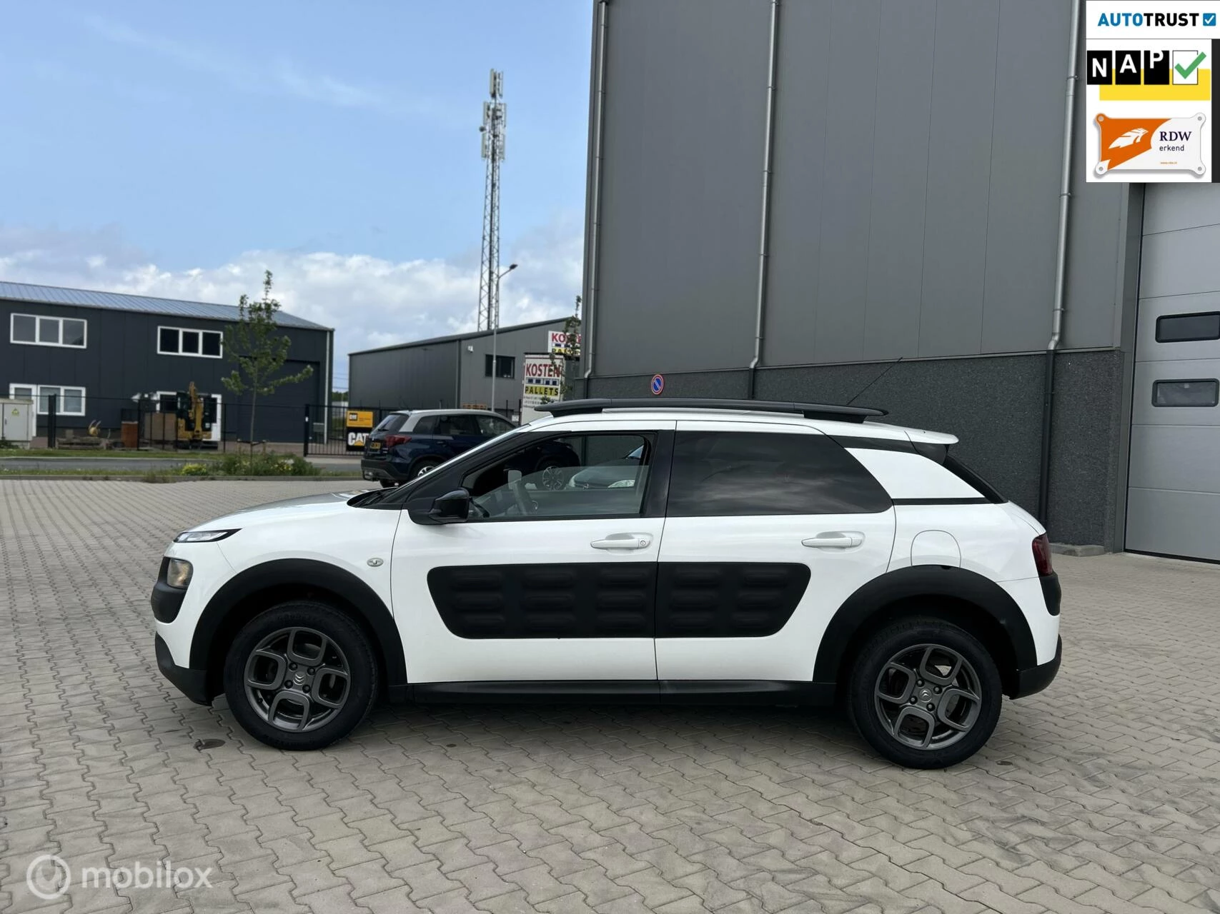 Hoofdafbeelding Citroën C4 Cactus