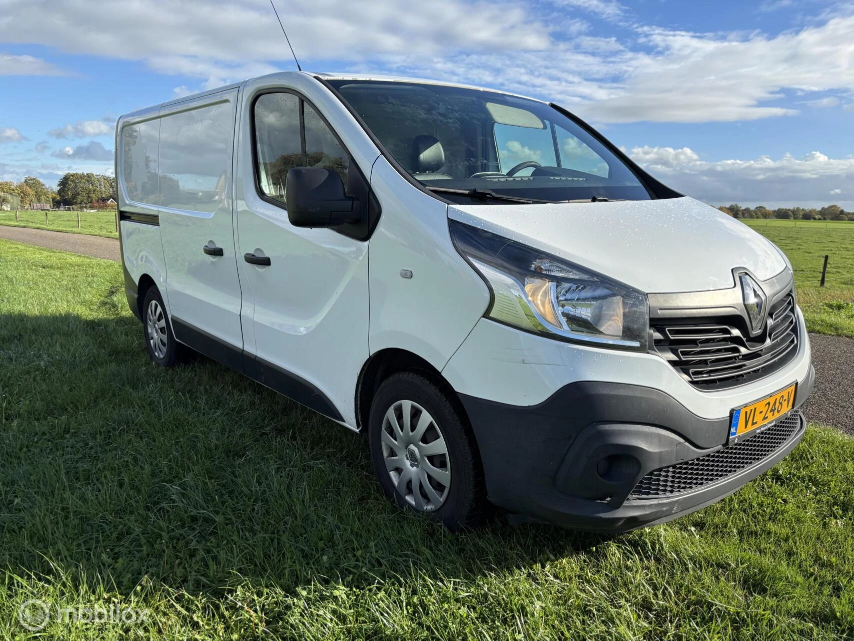 Hoofdafbeelding Renault Trafic