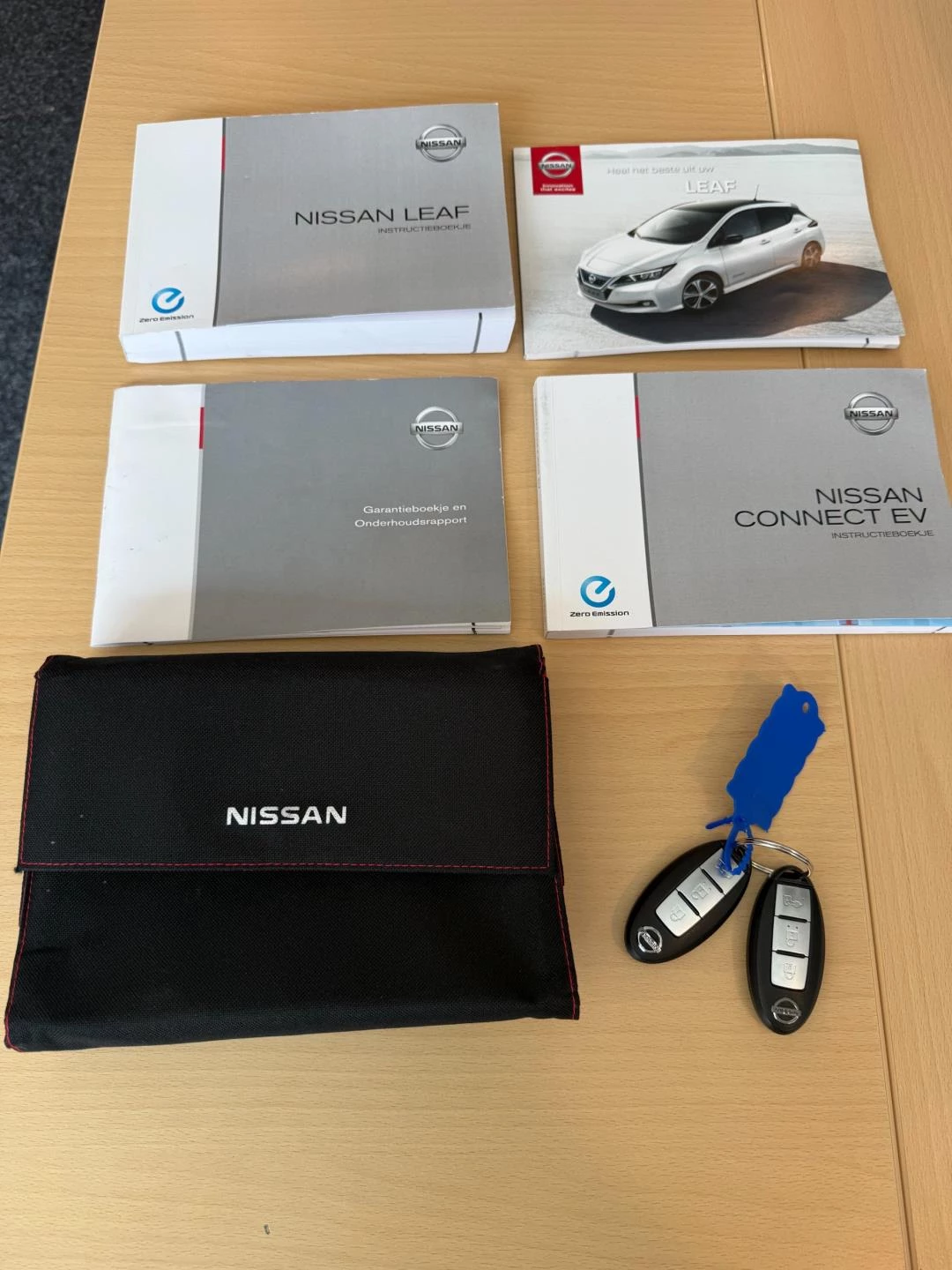 Hoofdafbeelding Nissan Leaf