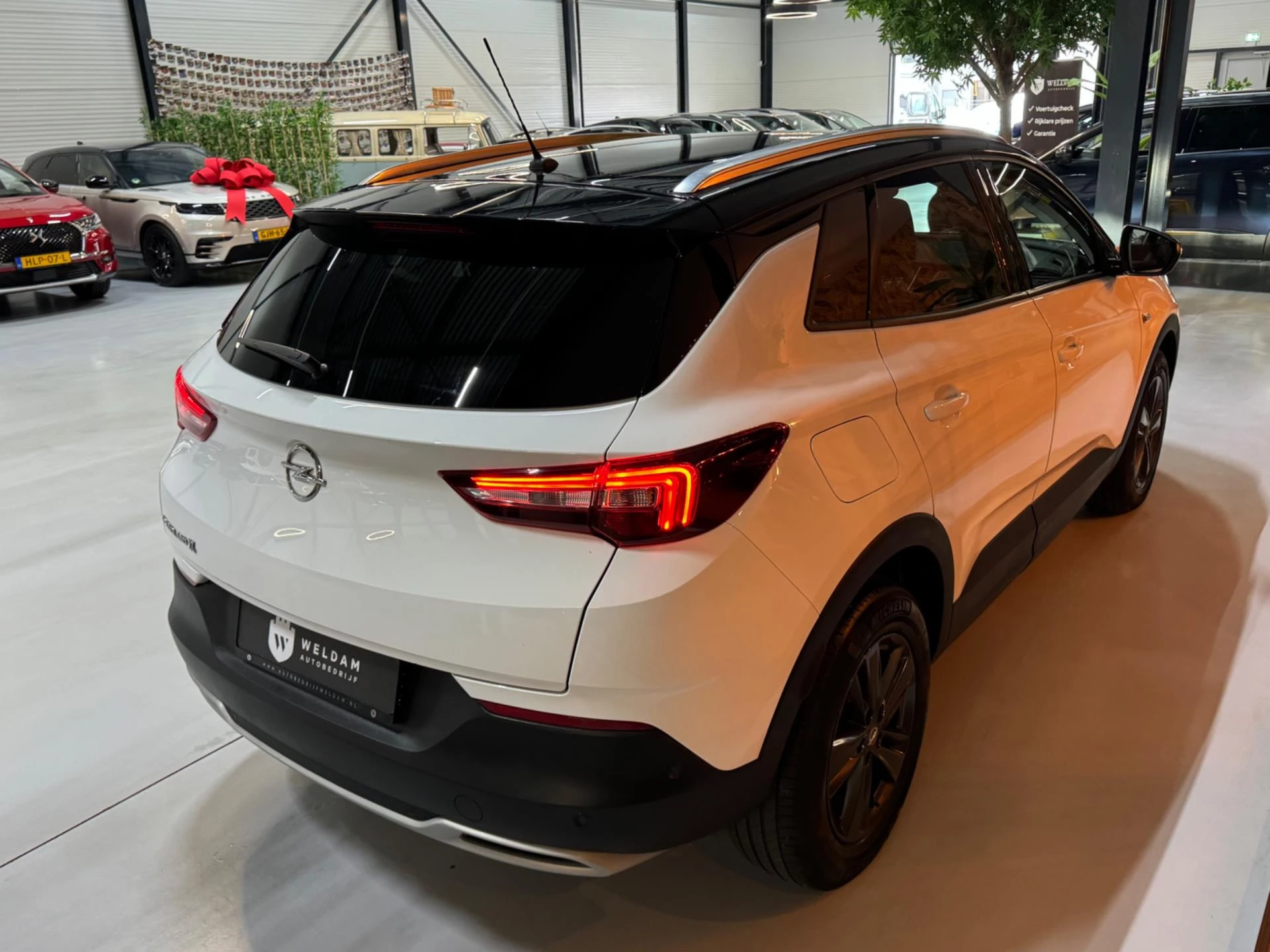 Hoofdafbeelding Opel Grandland X