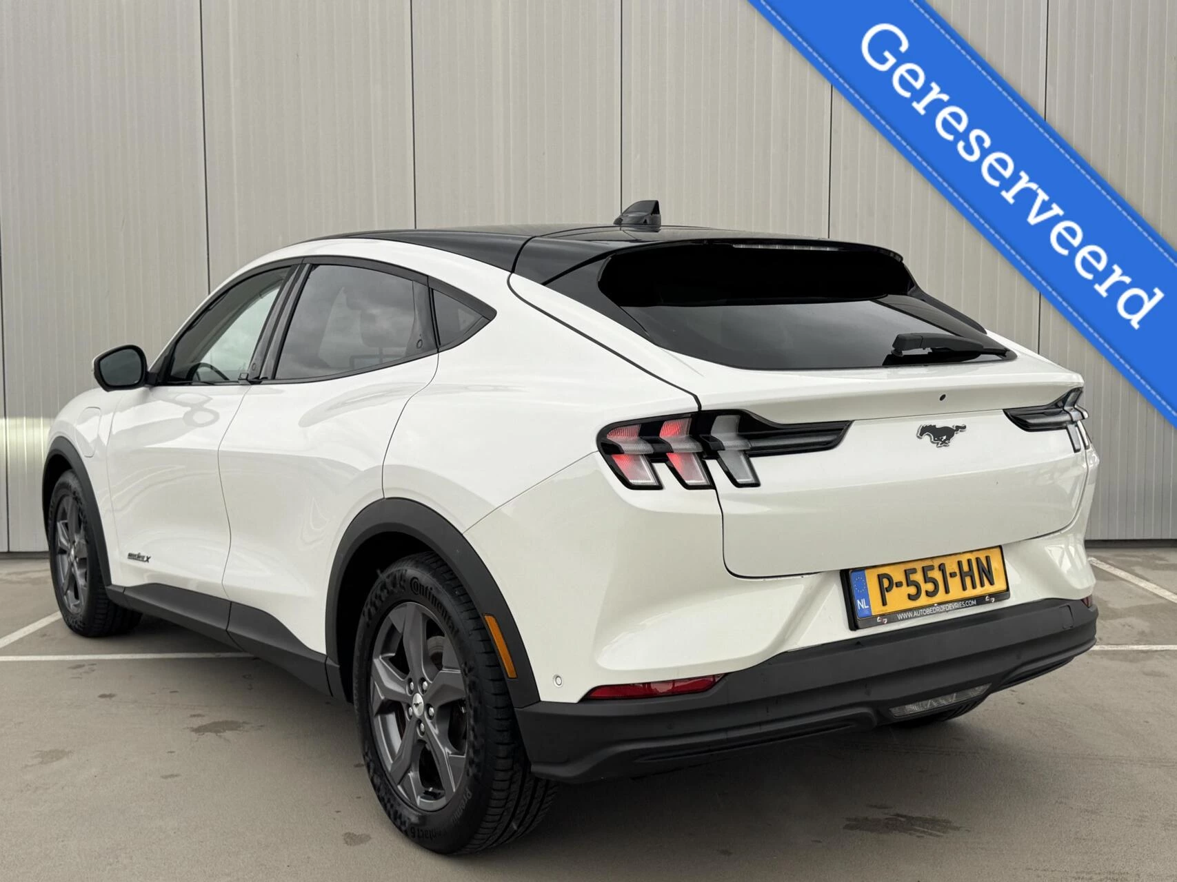 Hoofdafbeelding Ford Mustang Mach-E