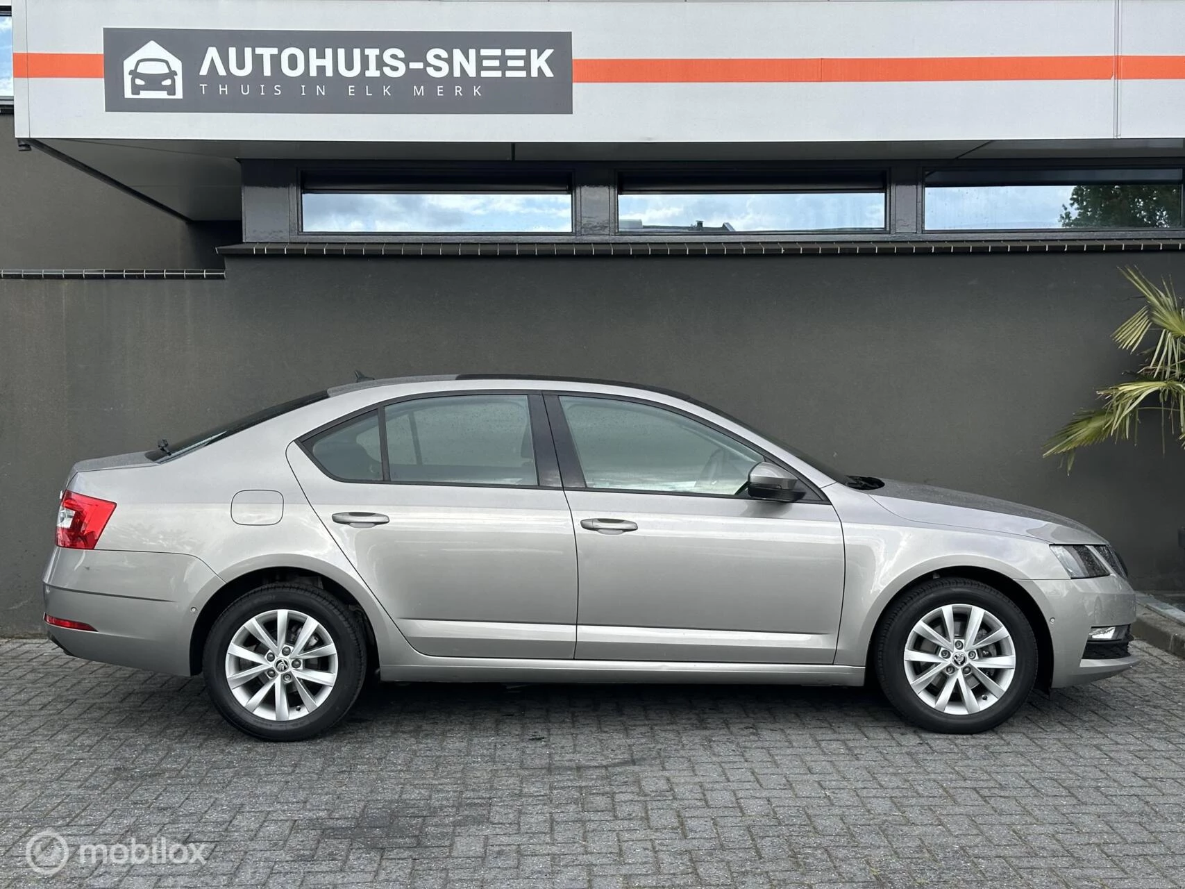 Hoofdafbeelding Škoda Octavia