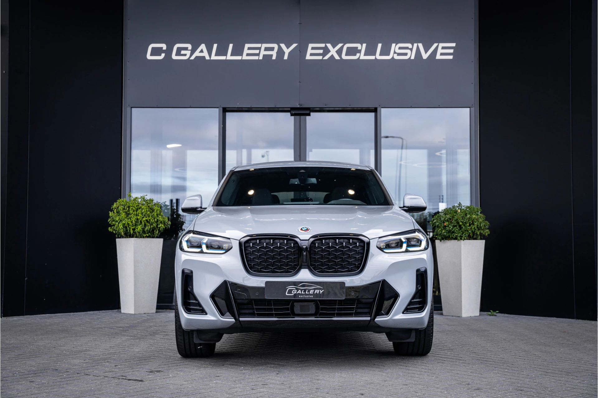 Hoofdafbeelding BMW X4