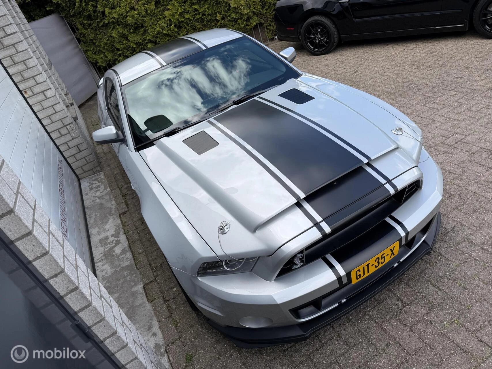 Hoofdafbeelding Ford Mustang
