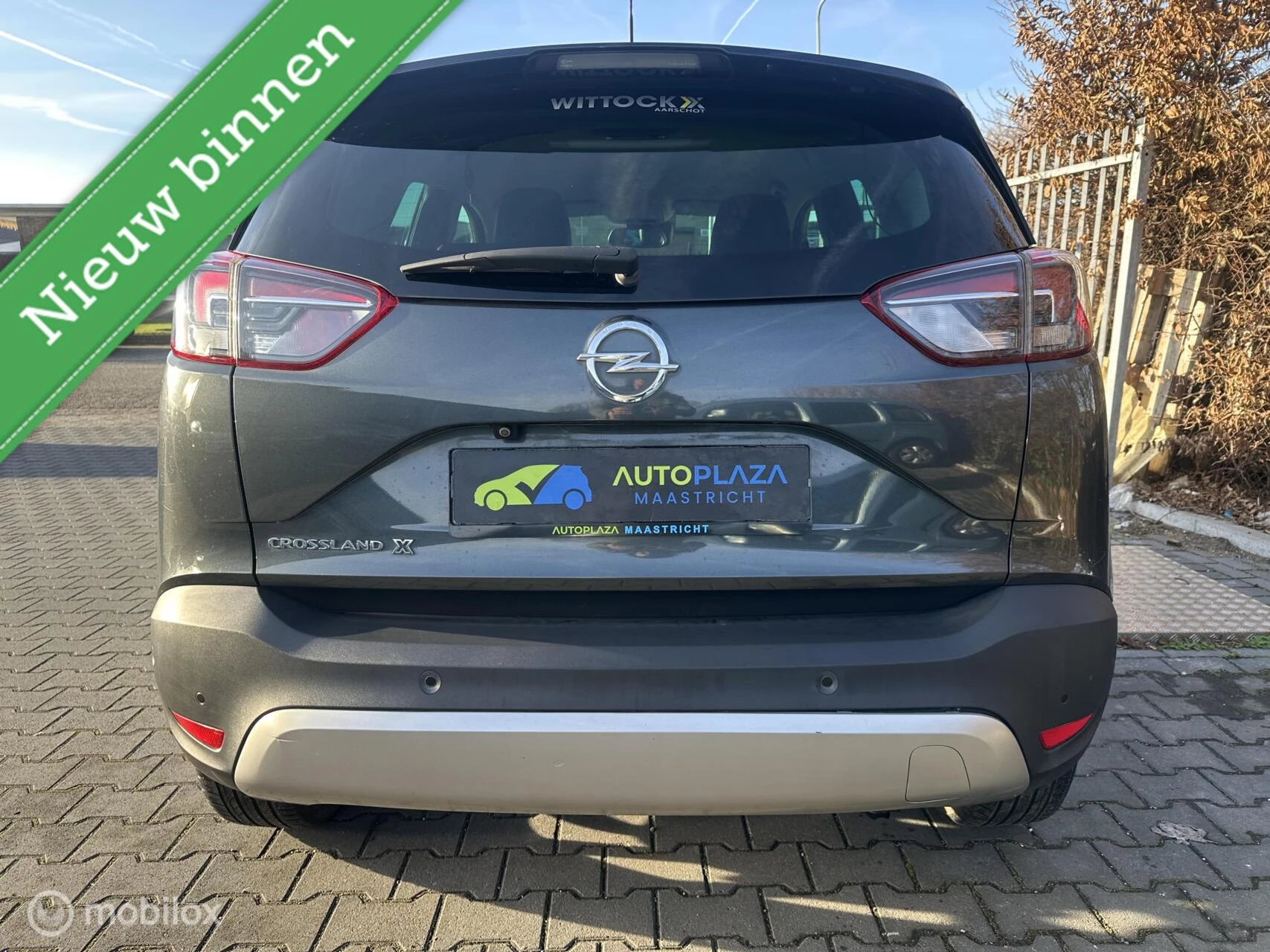 Hoofdafbeelding Opel Crossland X