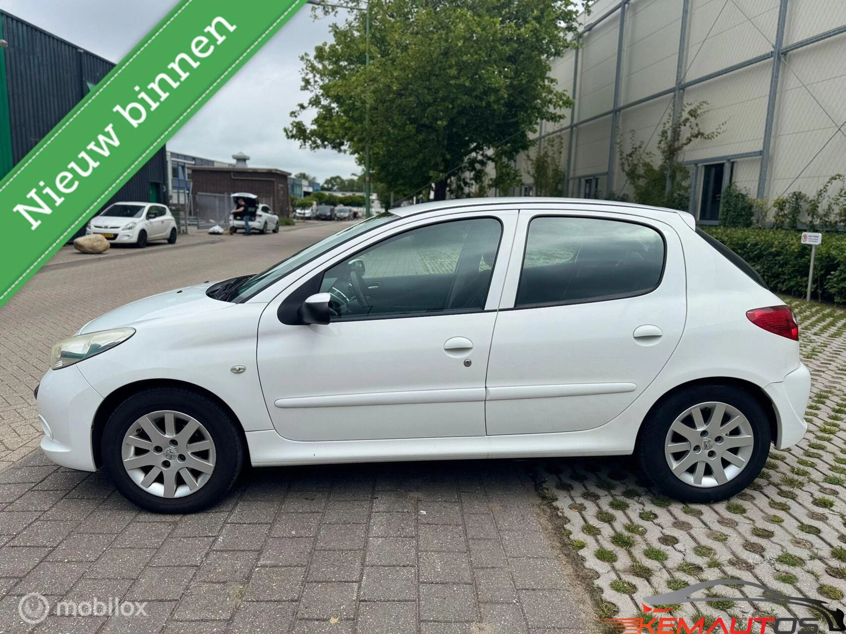 Hoofdafbeelding Peugeot 206