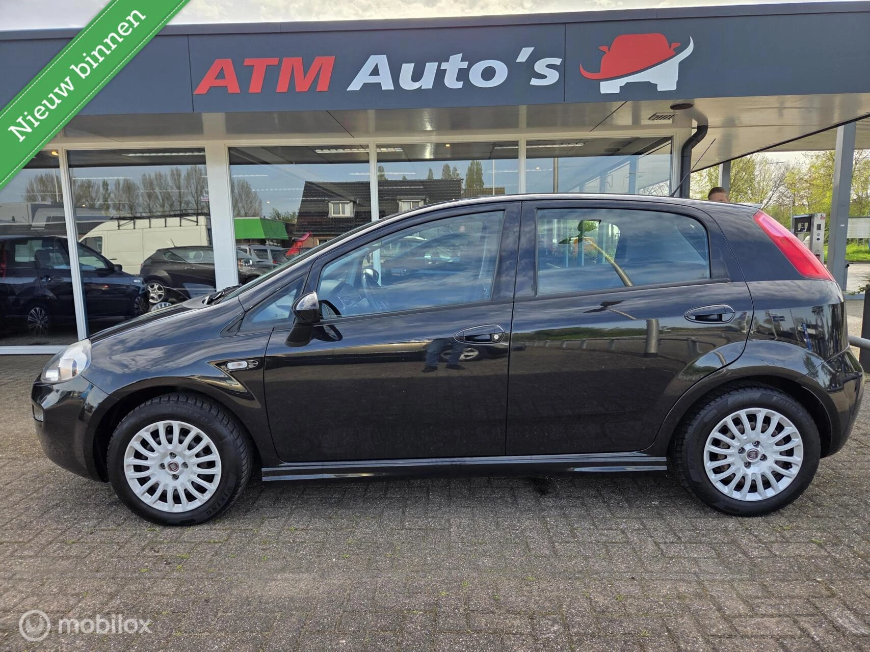 Hoofdafbeelding Fiat Punto