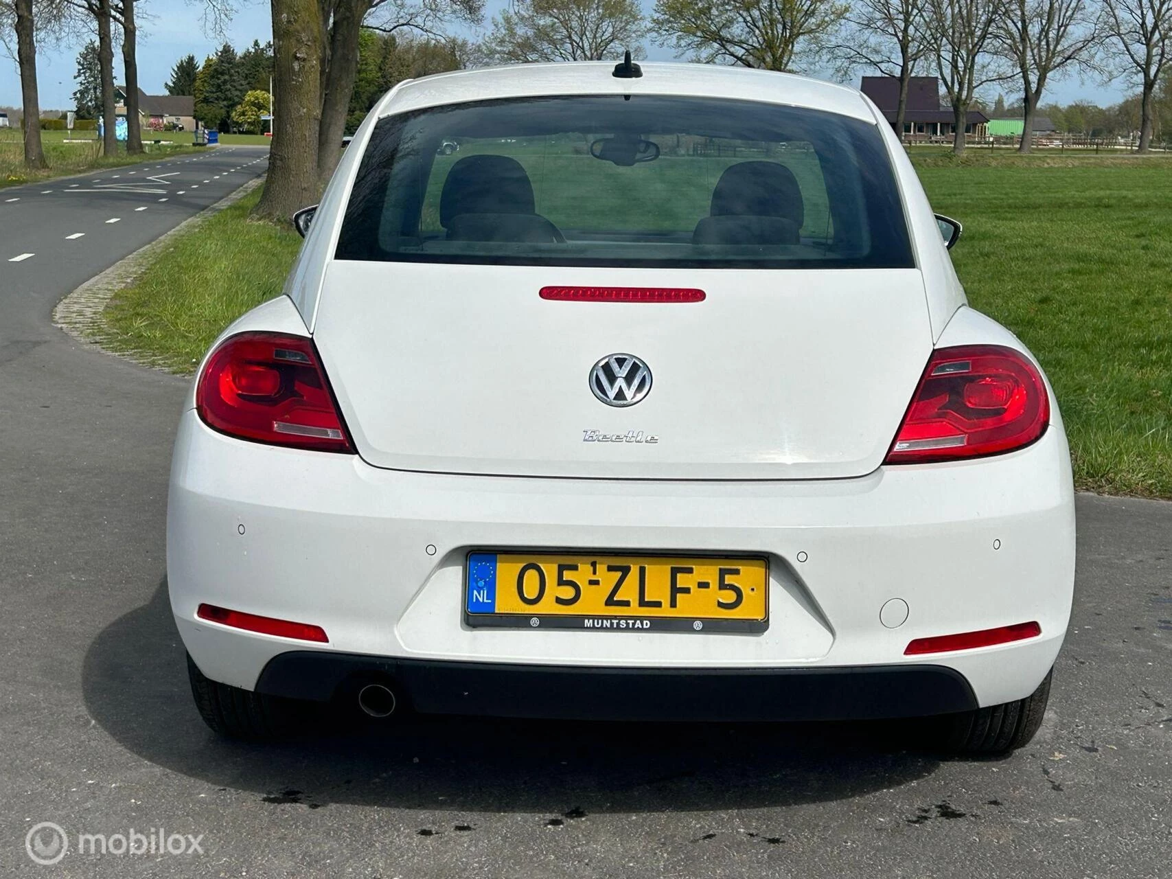 Hoofdafbeelding Volkswagen Beetle