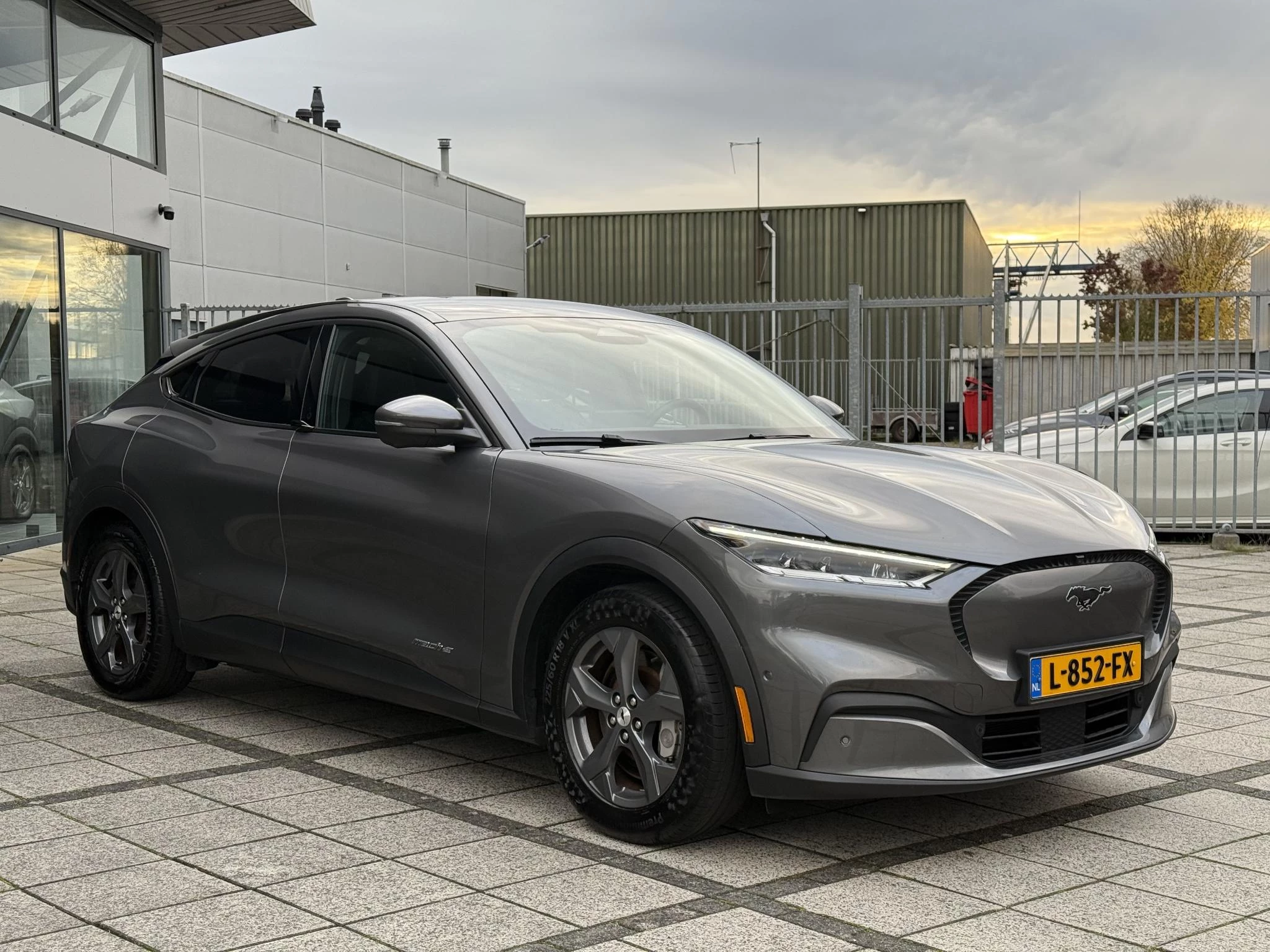 Hoofdafbeelding Ford Mustang Mach-E