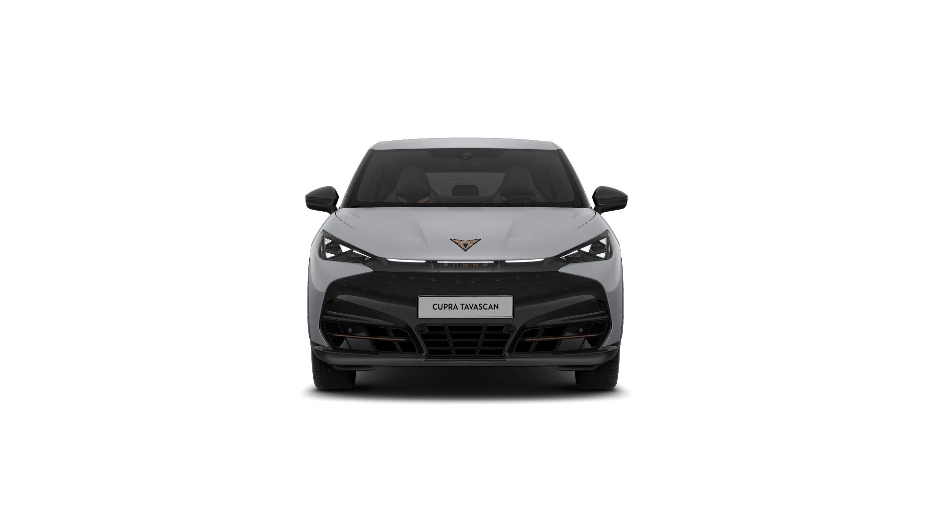 Hoofdafbeelding CUPRA Tavascan