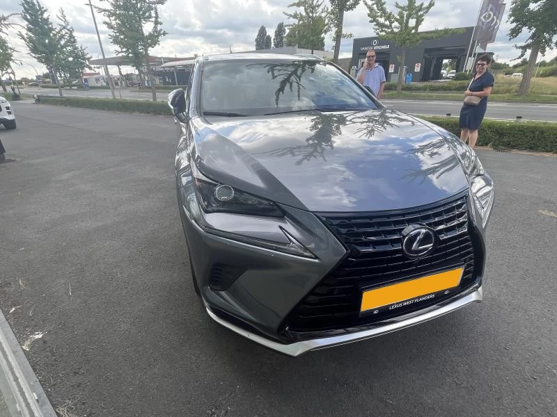 Hoofdafbeelding Lexus NX