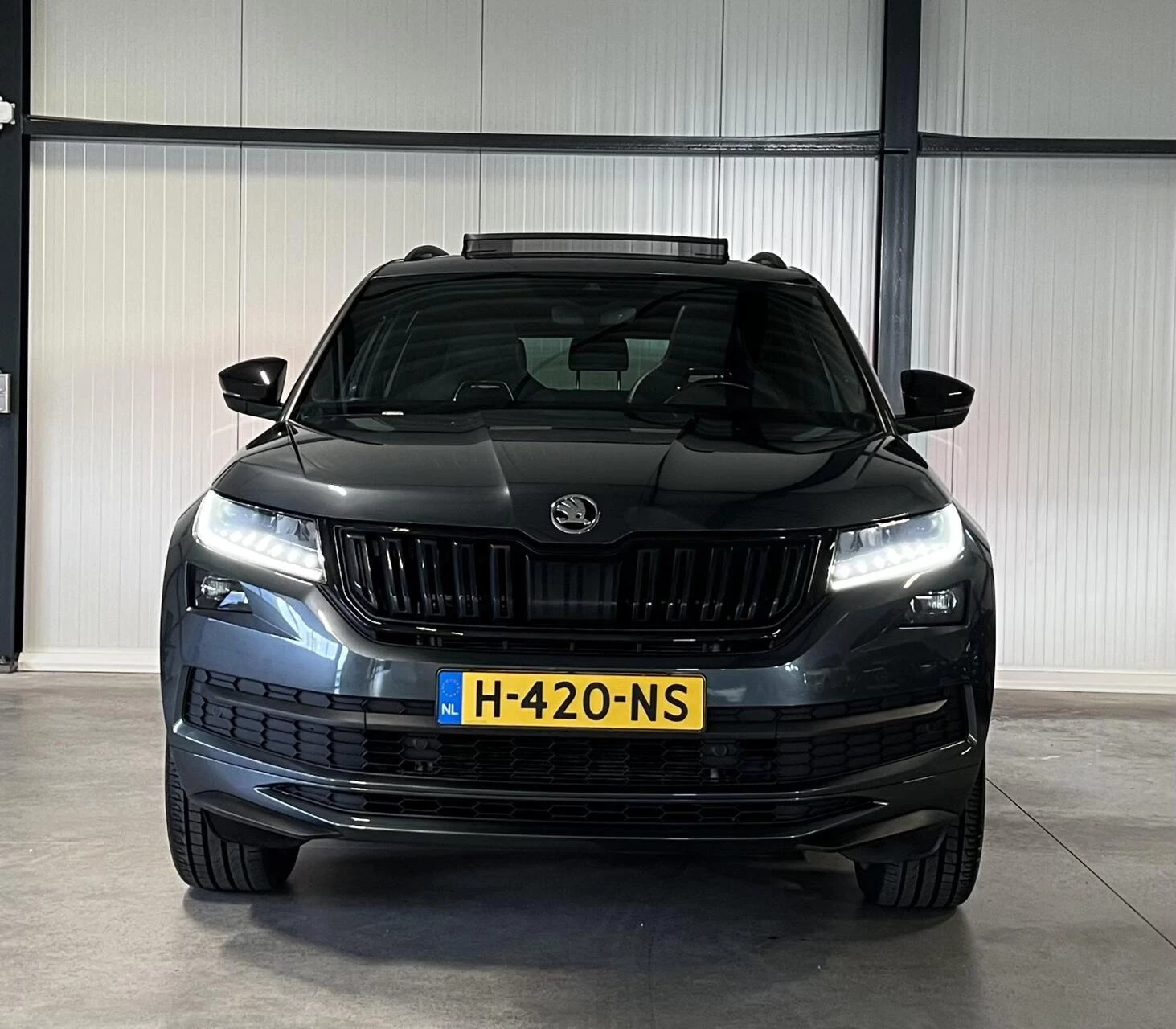Hoofdafbeelding Škoda Kodiaq