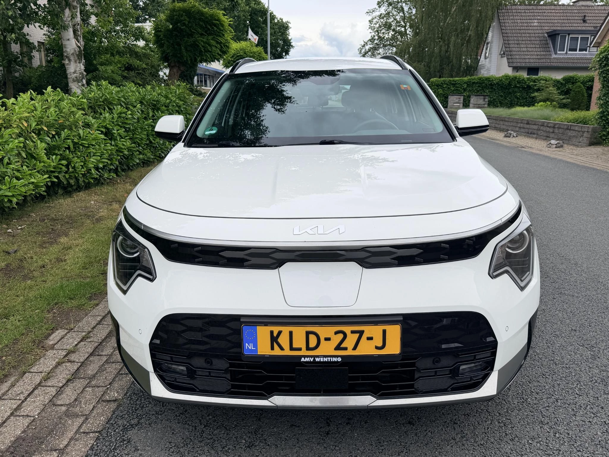 Hoofdafbeelding Kia Niro EV