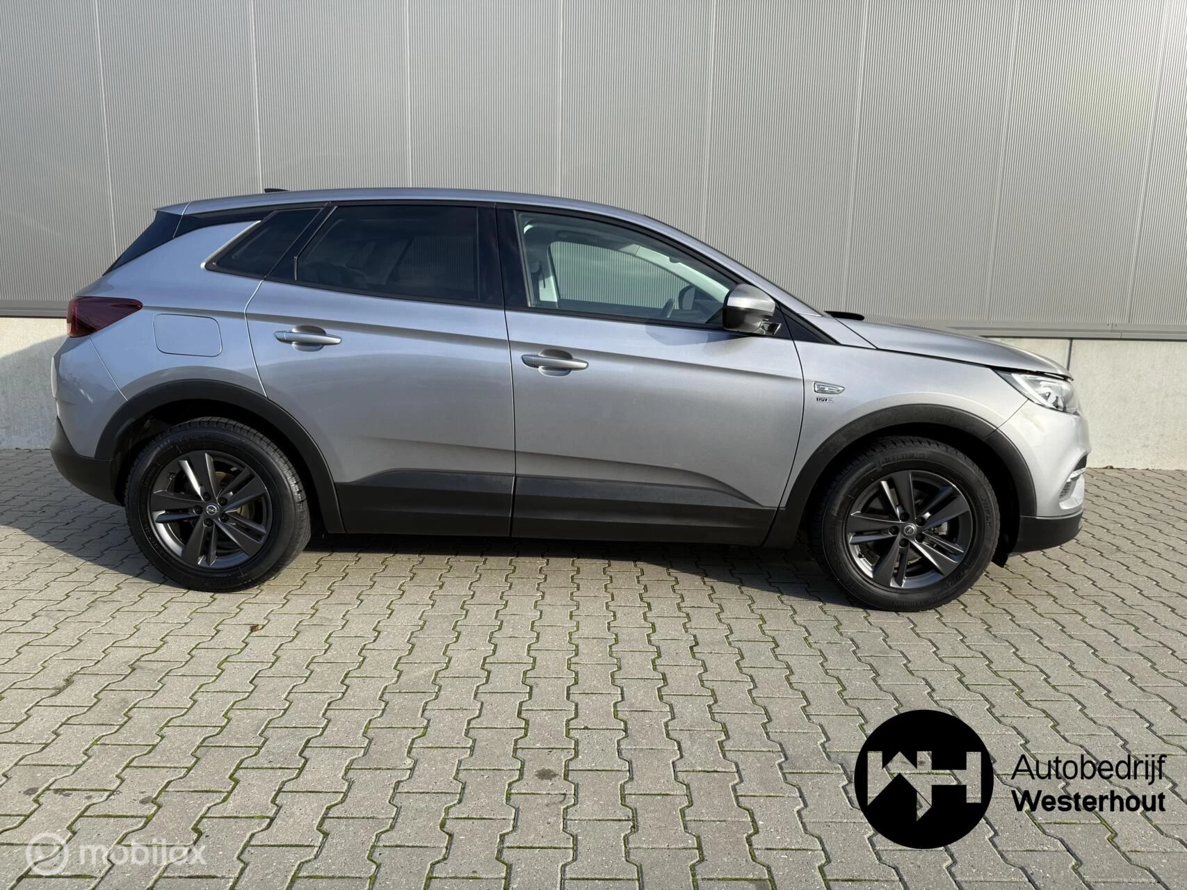 Hoofdafbeelding Opel Grandland X