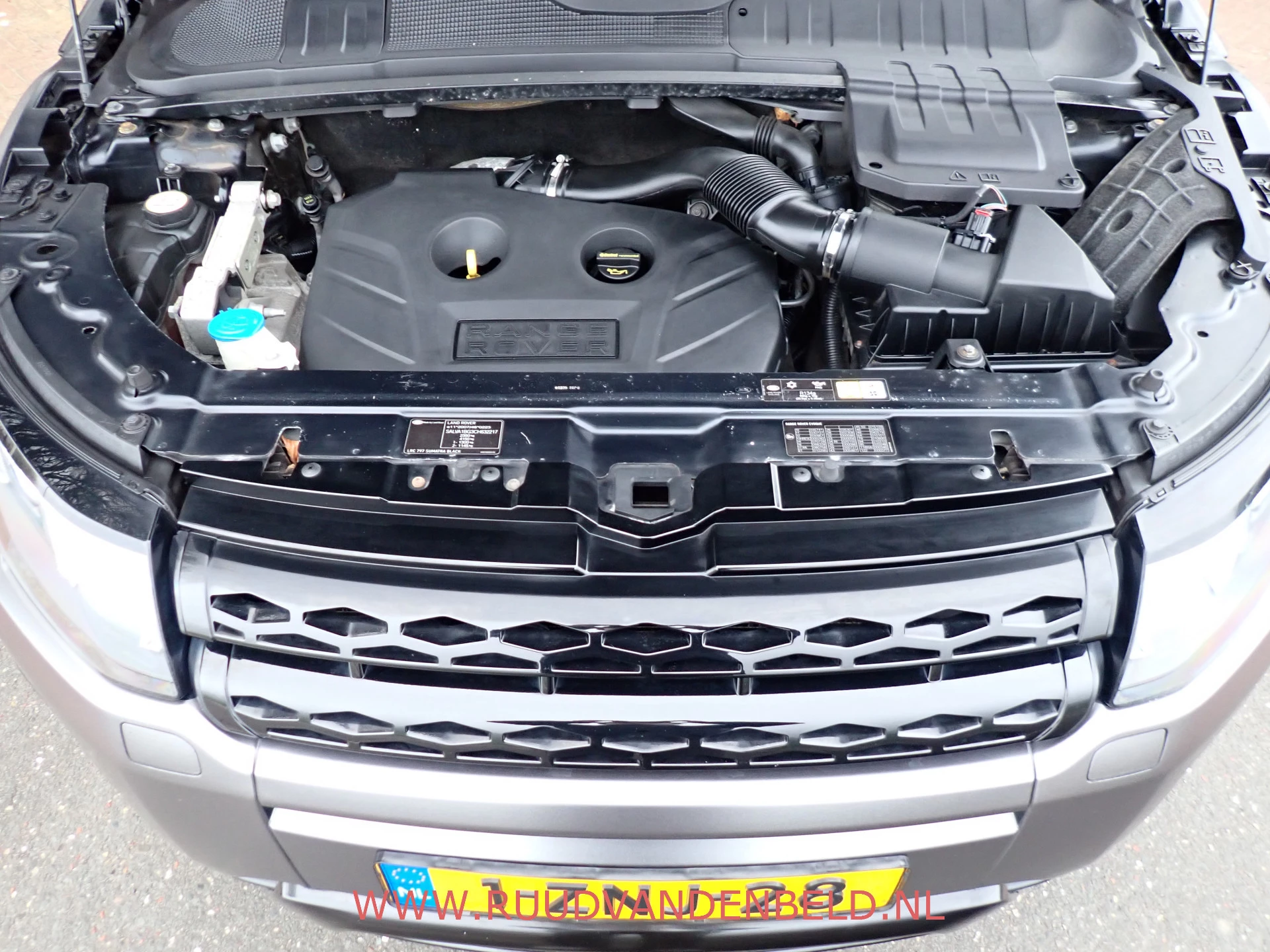 Hoofdafbeelding Land Rover Range Rover Evoque