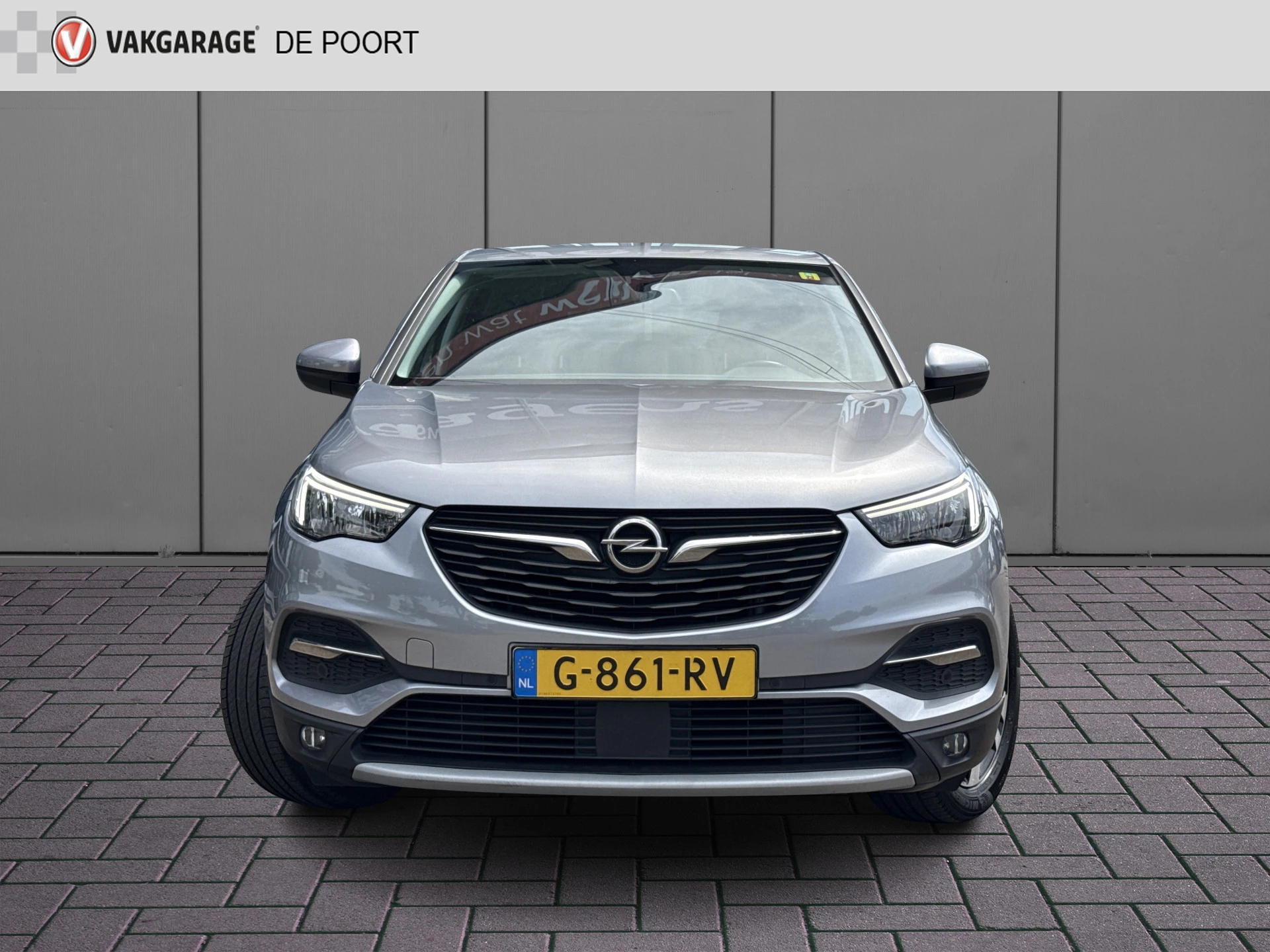 Hoofdafbeelding Opel Grandland X