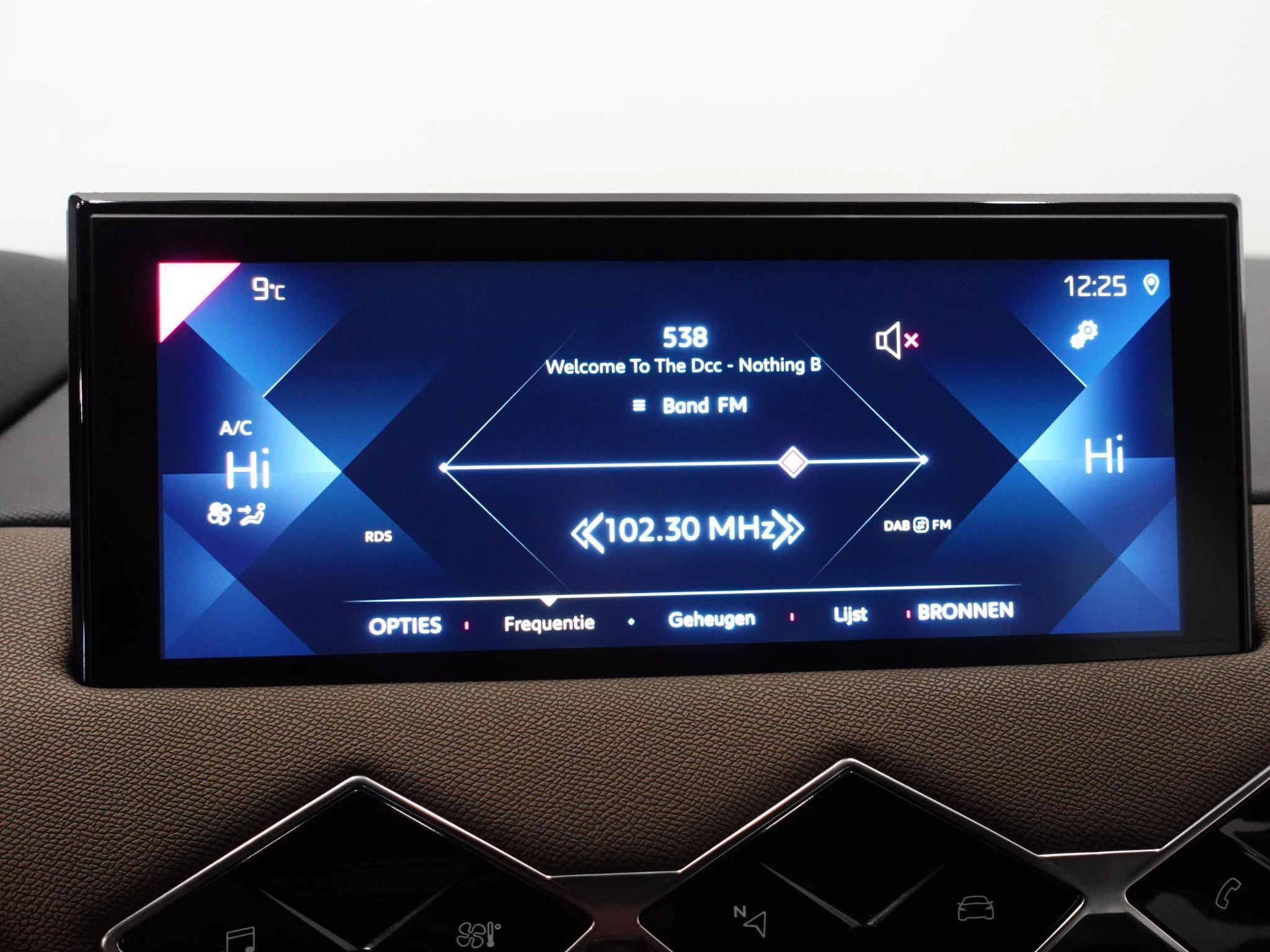Hoofdafbeelding DS DS 3