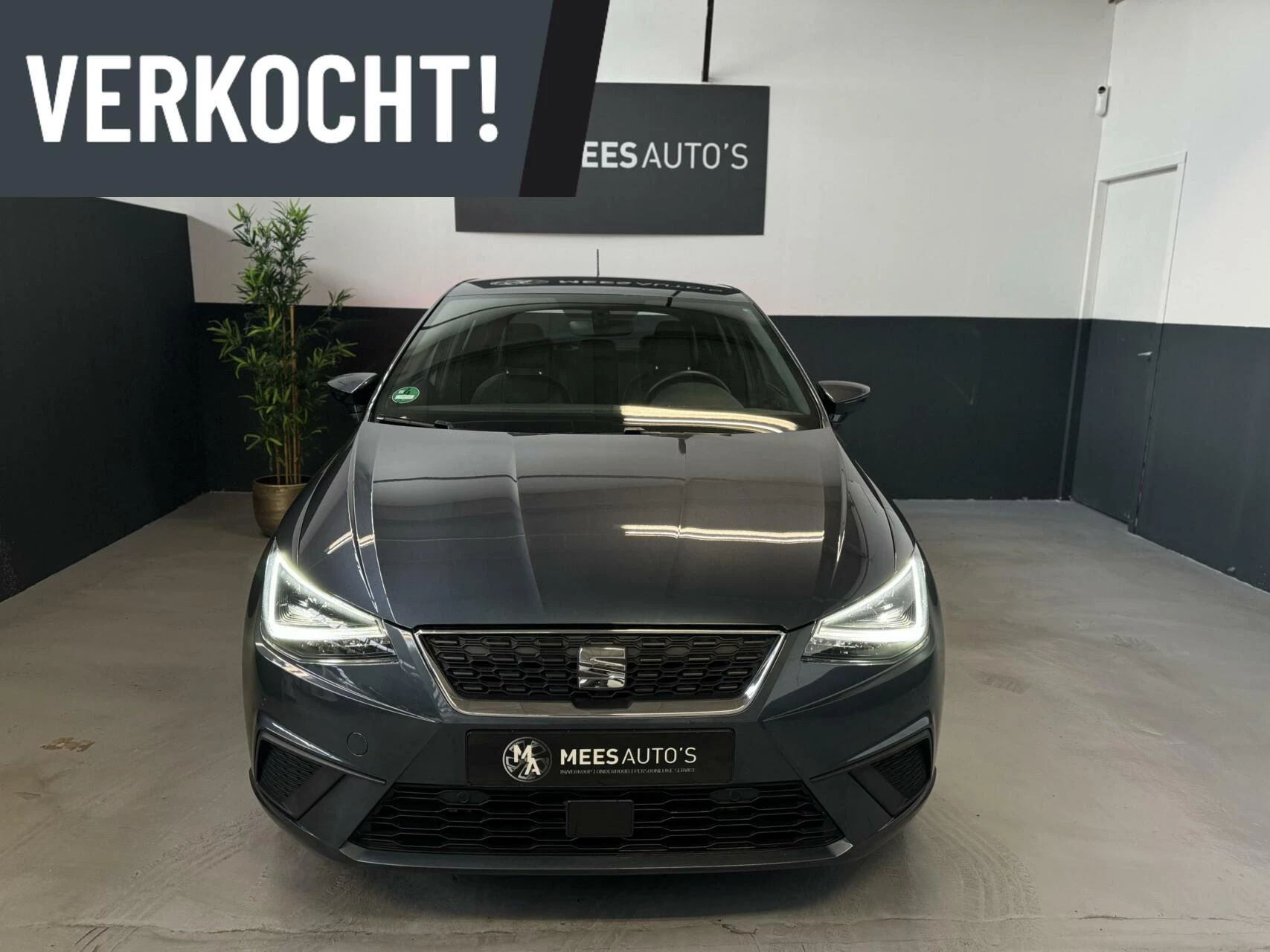 Hoofdafbeelding SEAT Ibiza