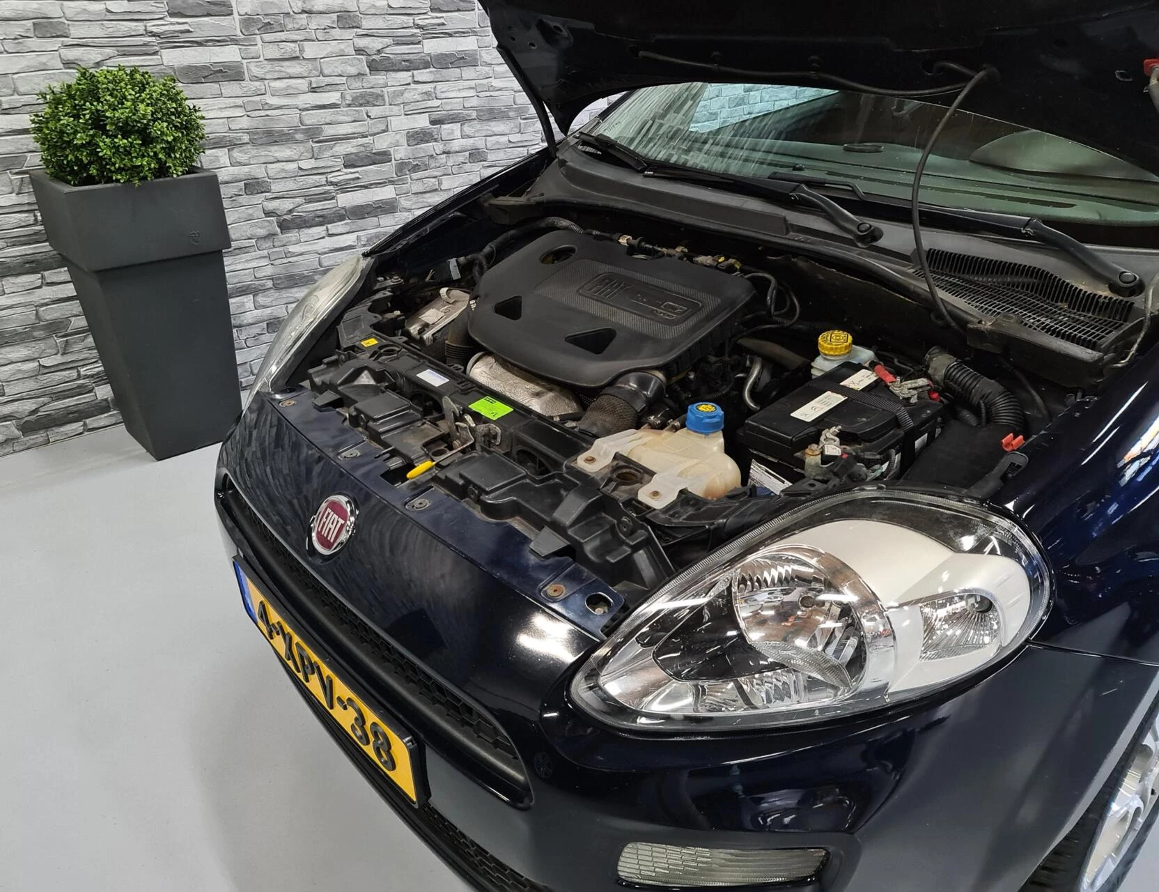 Hoofdafbeelding Fiat Punto