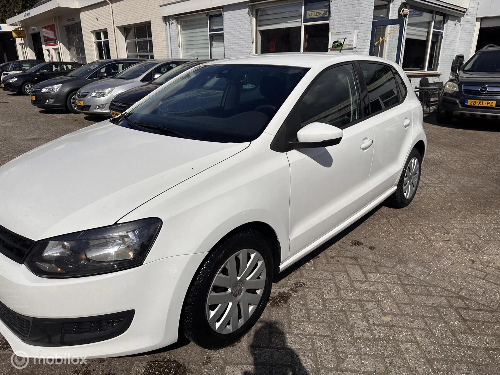 Hoofdafbeelding Volkswagen Polo