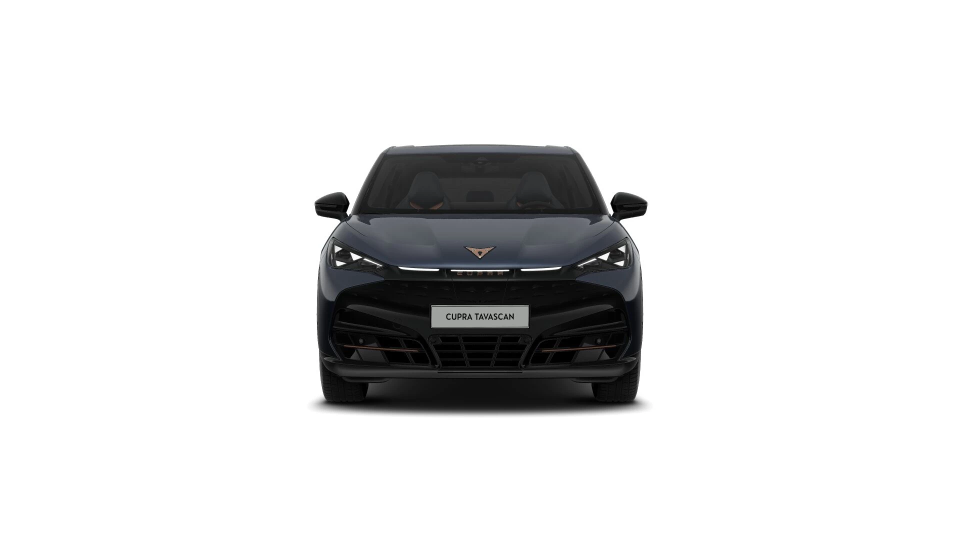 Hoofdafbeelding CUPRA Tavascan