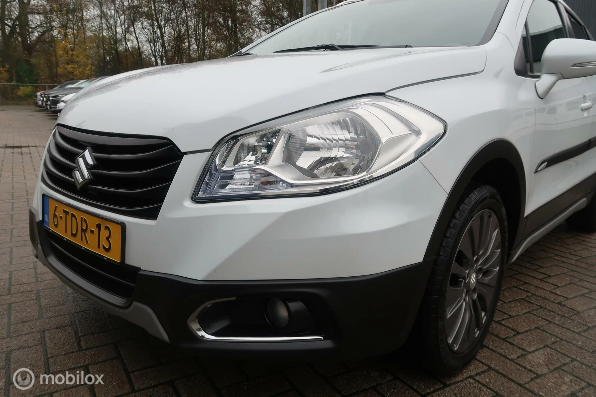 Hoofdafbeelding Suzuki S-Cross