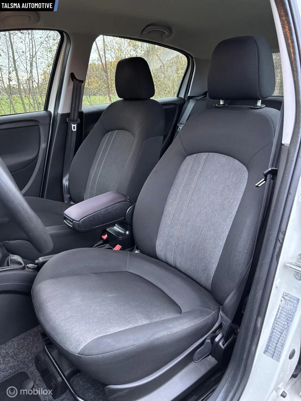 Hoofdafbeelding Fiat Punto