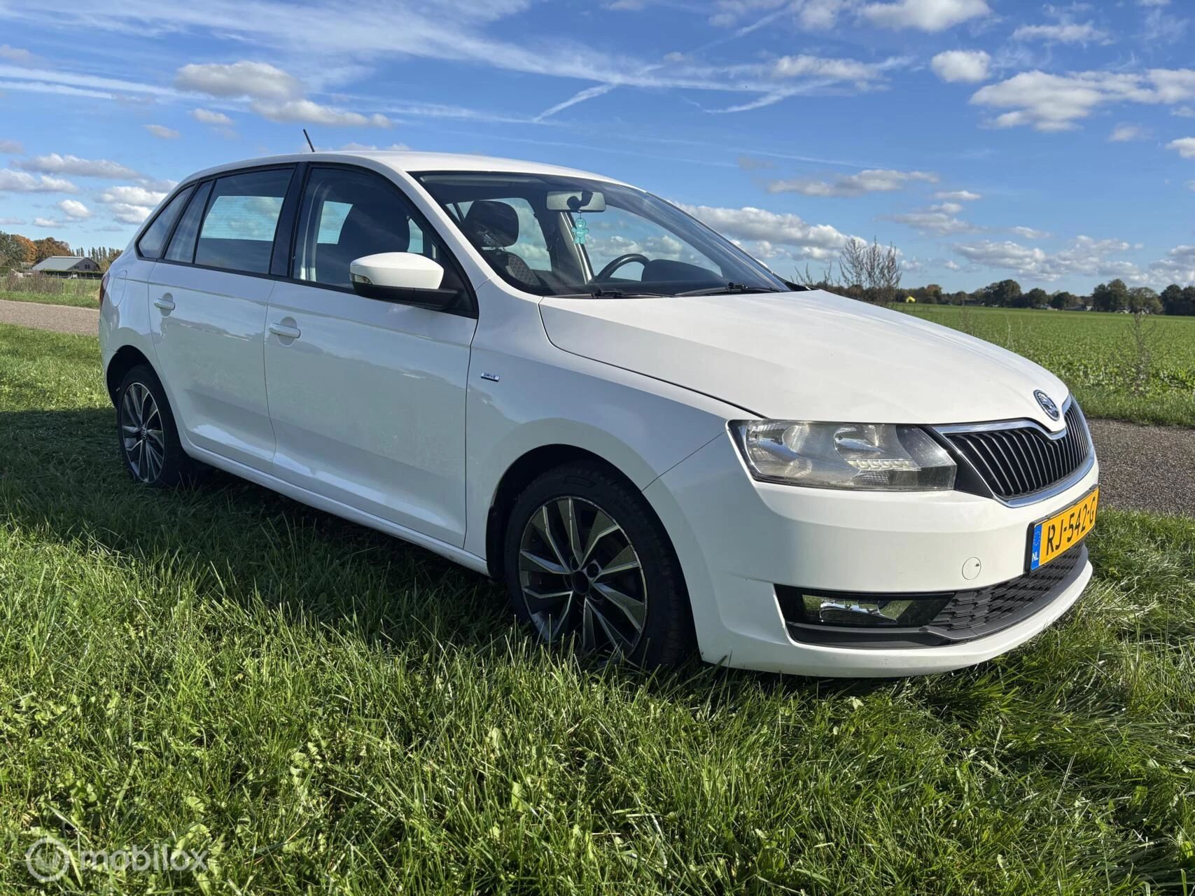 Hoofdafbeelding Škoda Rapid