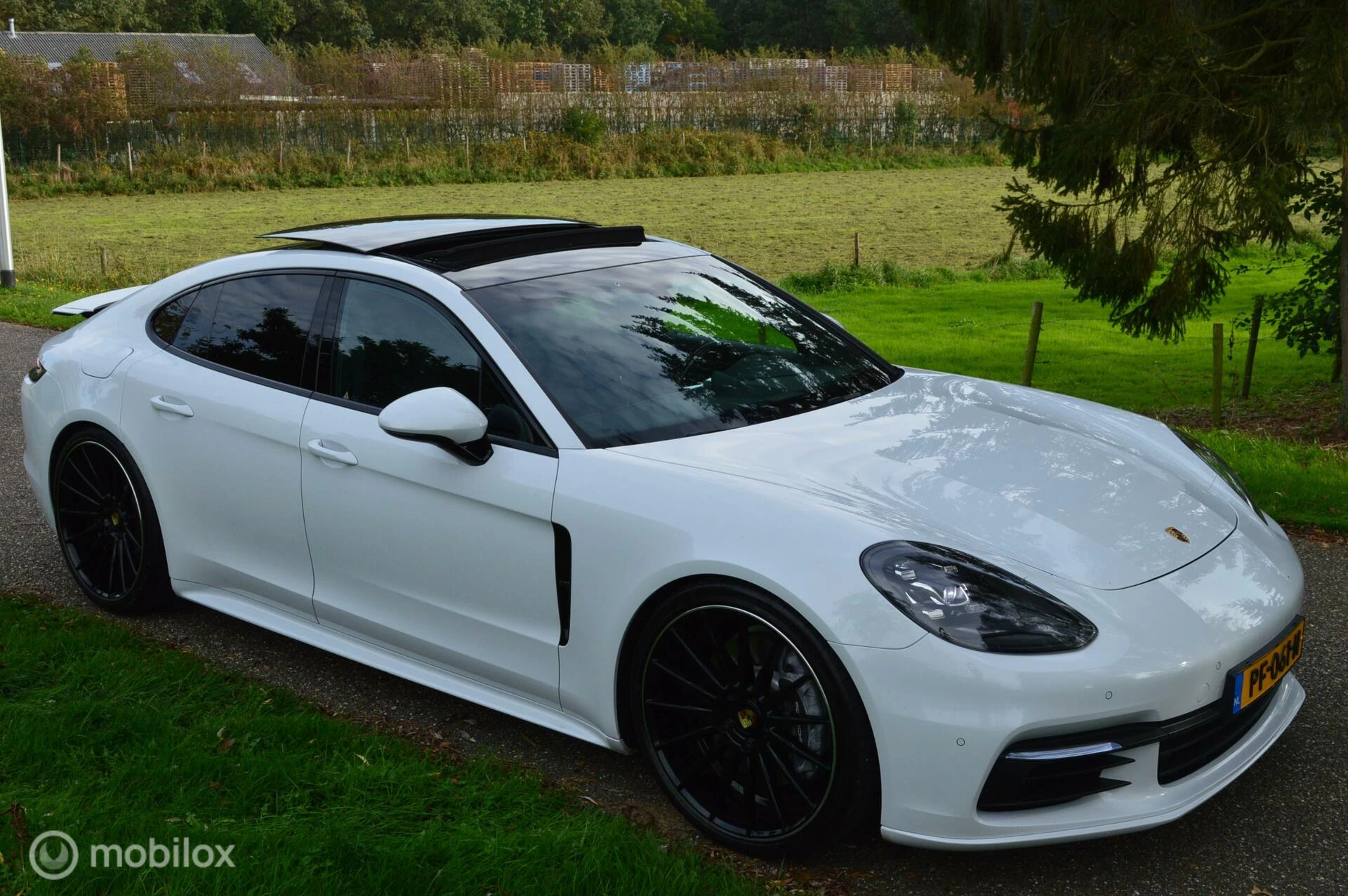 Hoofdafbeelding Porsche Panamera