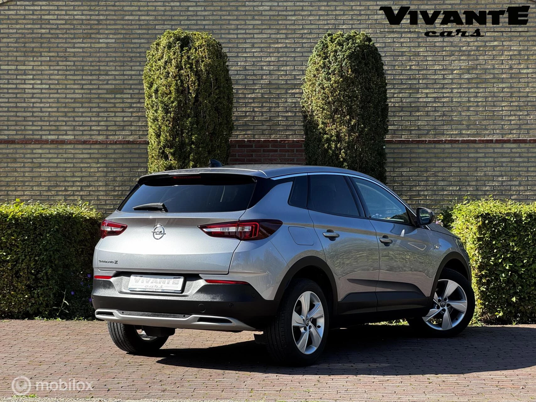 Hoofdafbeelding Opel Grandland X